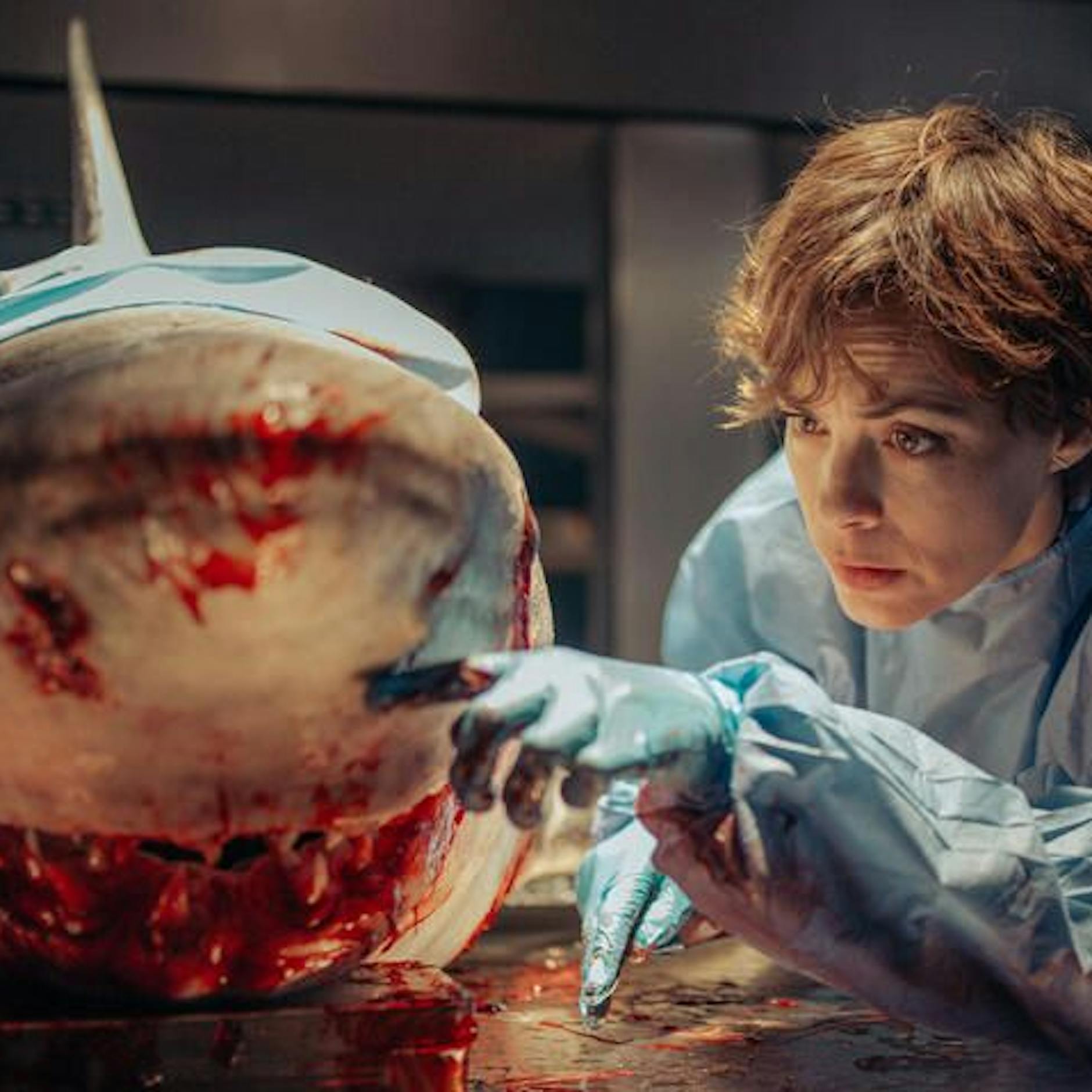Netflix-Hit „Im Wasser der Seine“: Die wahre Story des Hai-Horrorfilms