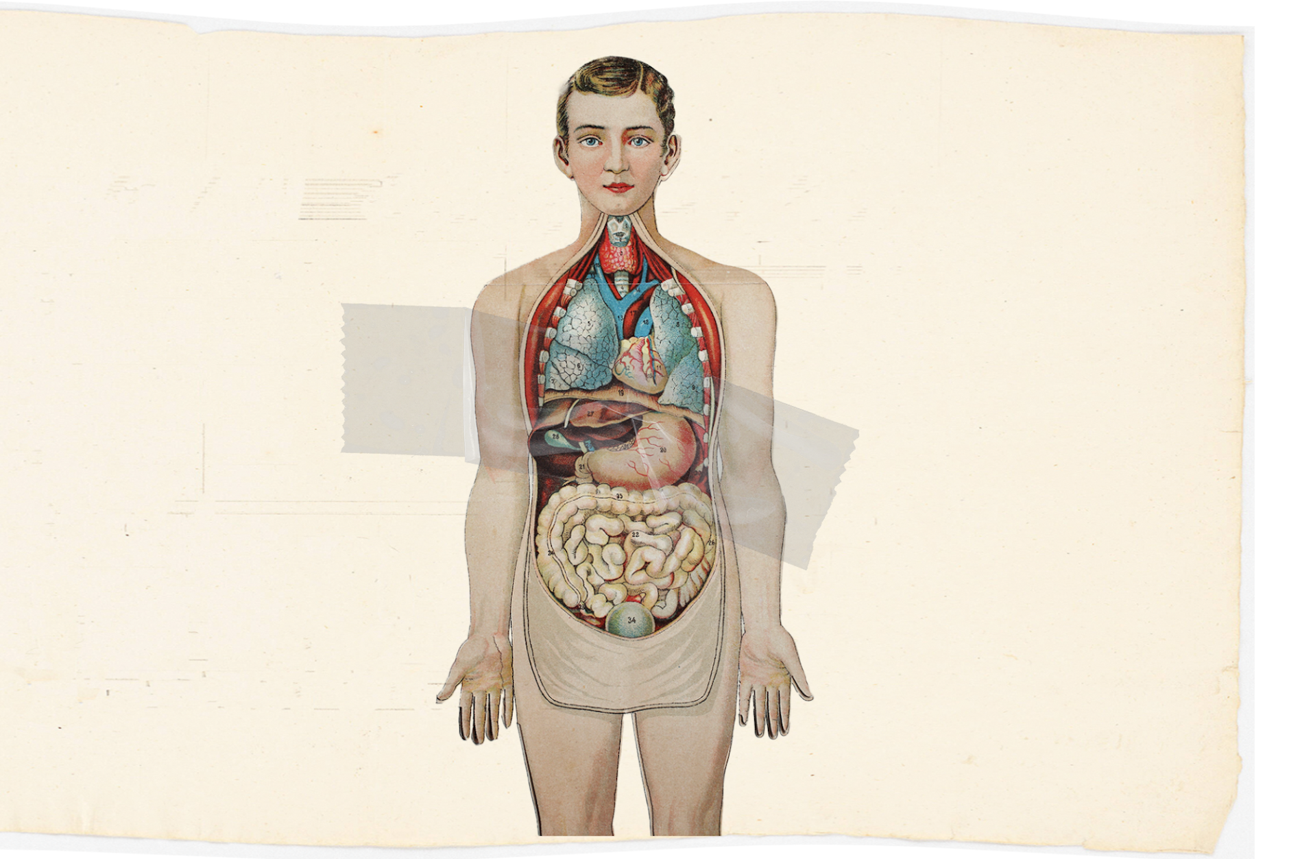 Die Frage ist: Dürfen die Organe eines Toten genutzt werden?&nbsp;