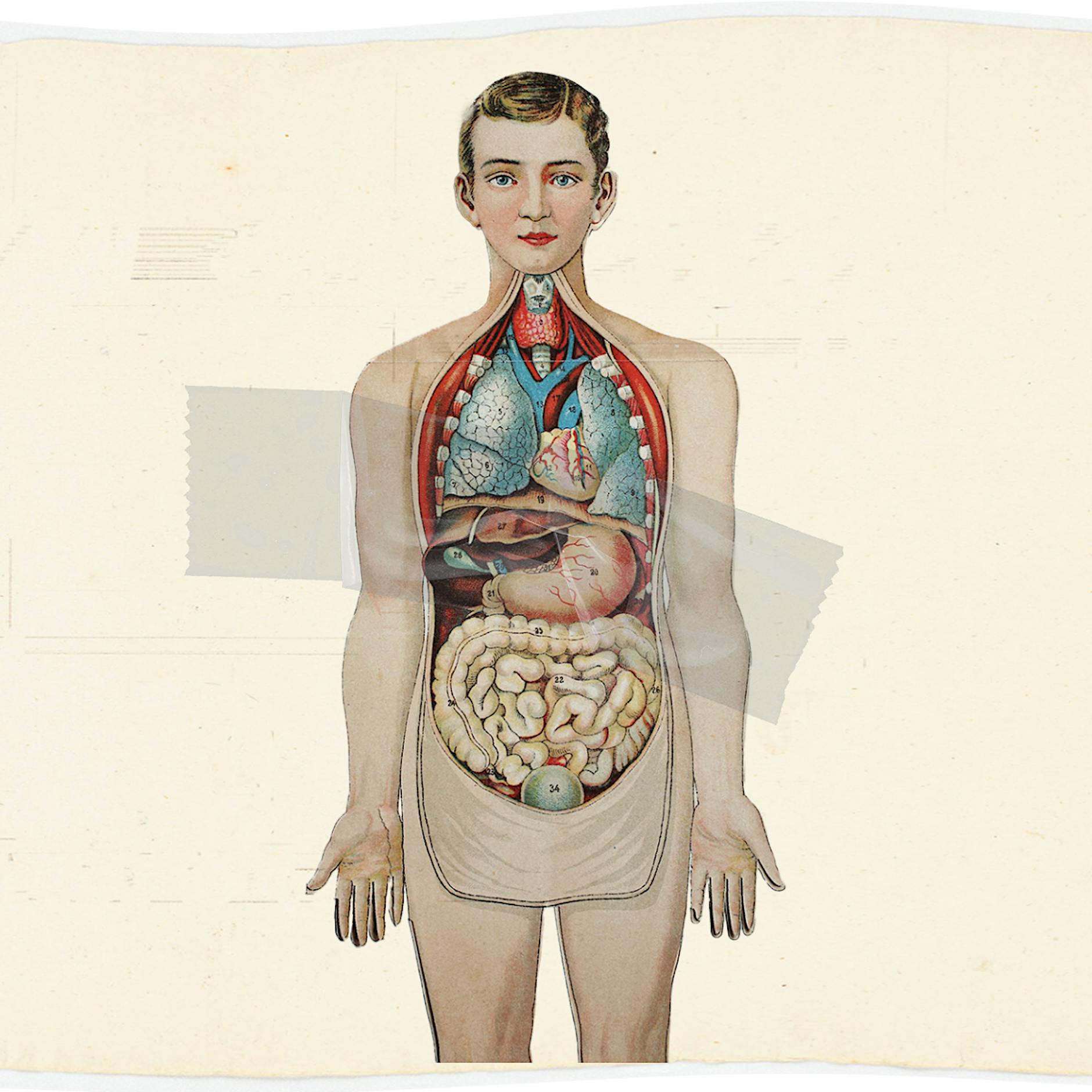 Widerspruchslösung für Organspende: Sollten alle automatisch Spender sein? Ich bin dagegen