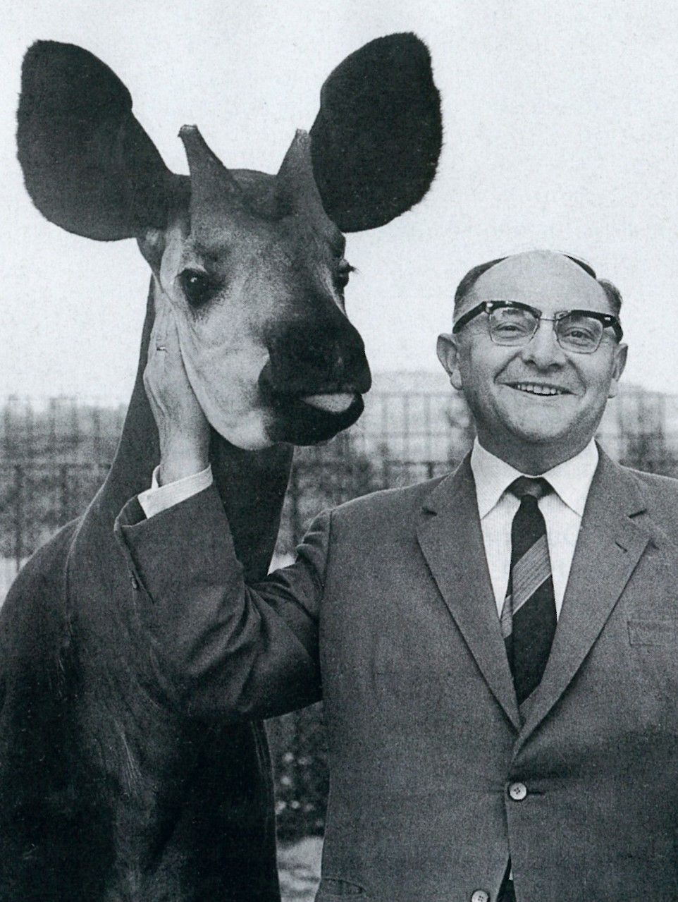 Lichtenberg: Eine DDR-Idee wird nach 40 Jahren Wirklichkeit