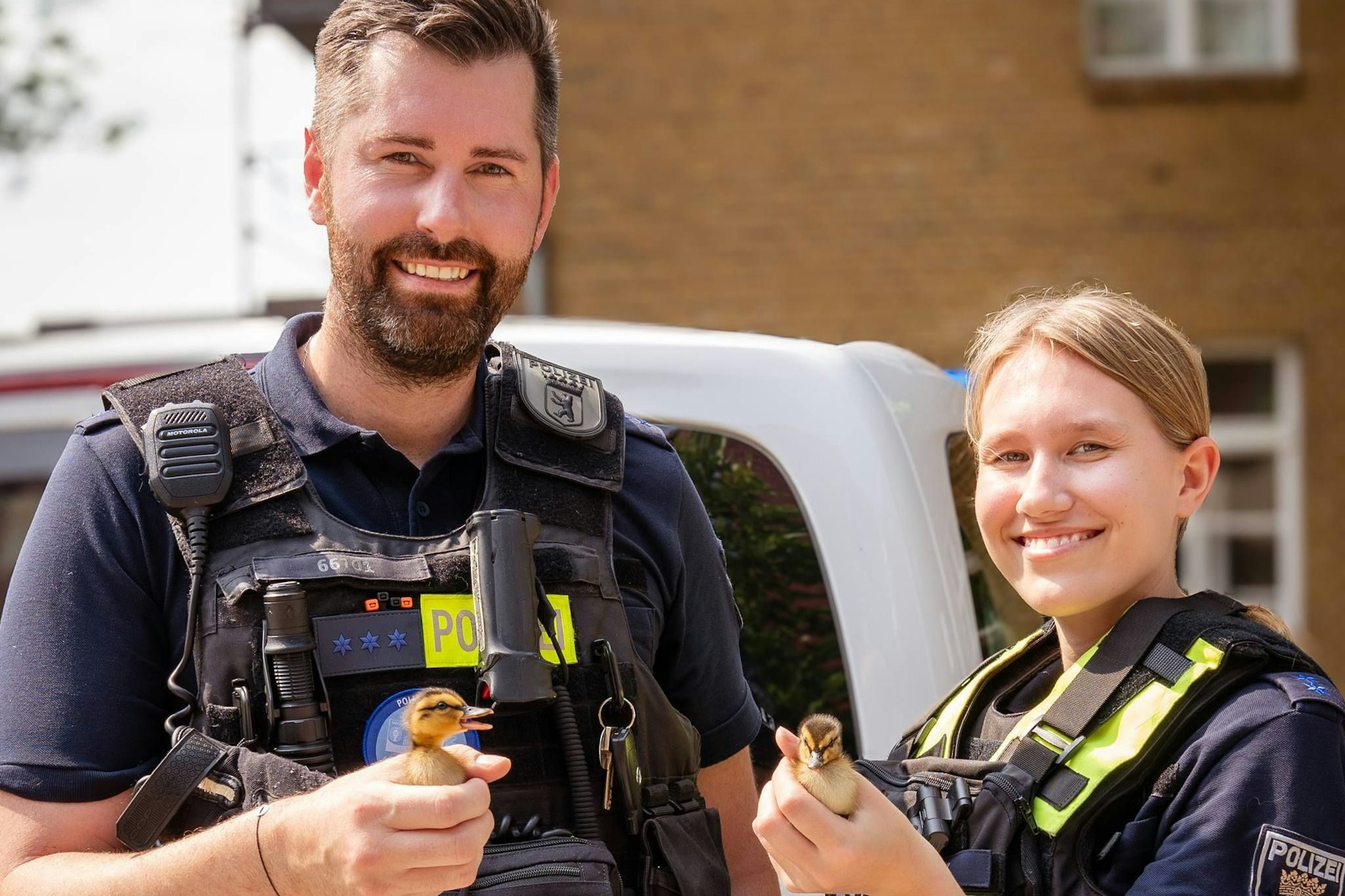 Die kleinen, schnuckeligen Entenküken schauen neugierig aus den Händen, die sie halten. Die Polizisten brachten die Kleinen in eine „Enten-WG“, wo sie nun liebevoll aufgepäppelt werden.