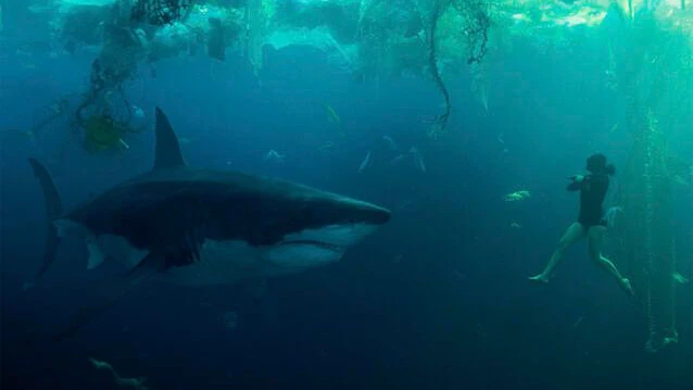 Der Film „Im Wasser der Seine“ bei Netflix dreht sich um einen riesigen Hai, der sich in die Seine verirrt und ein Blutbad anrichtet.