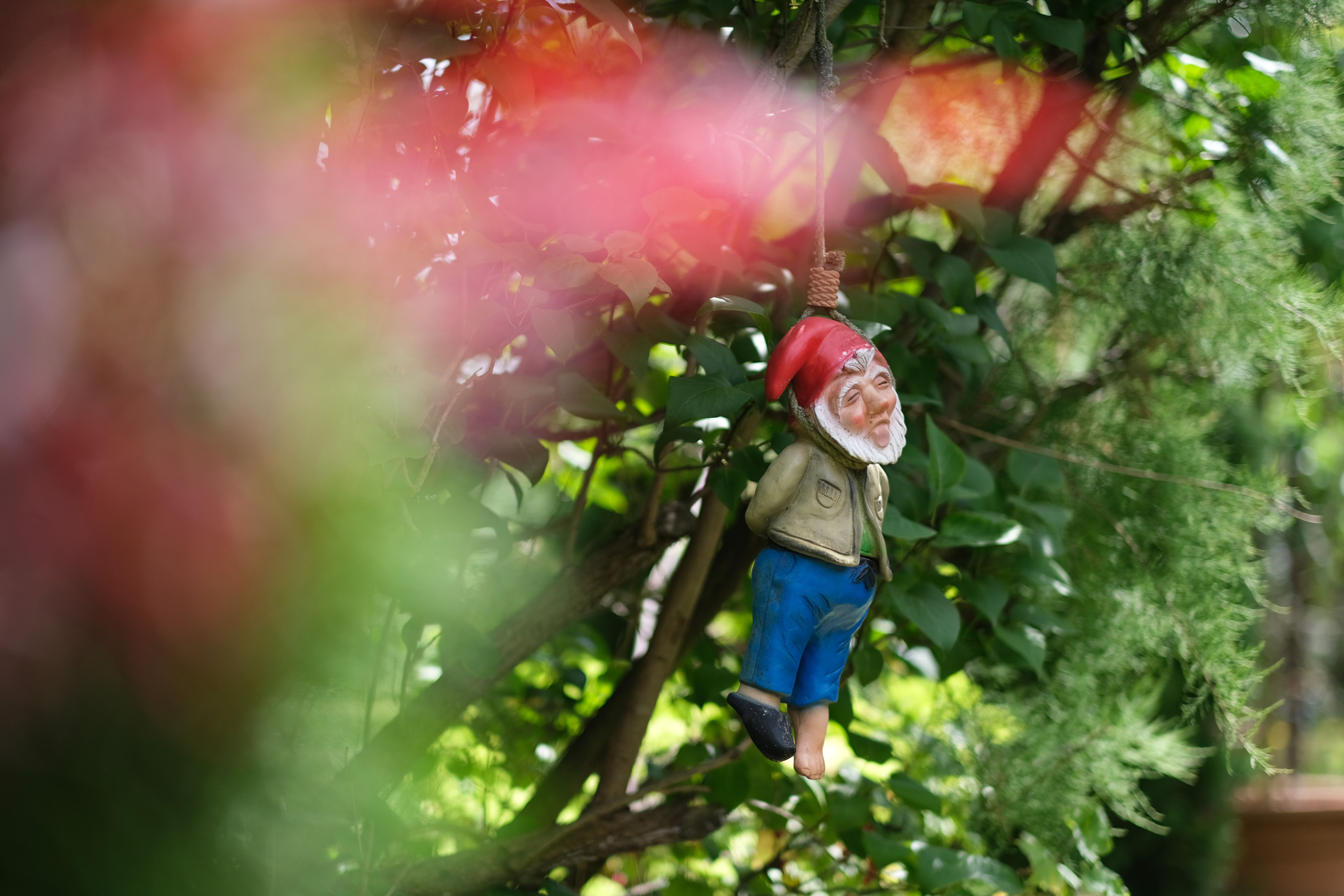 Zoff am Zaun: Neue Schlammschlacht im Pankower Kleingartenverband