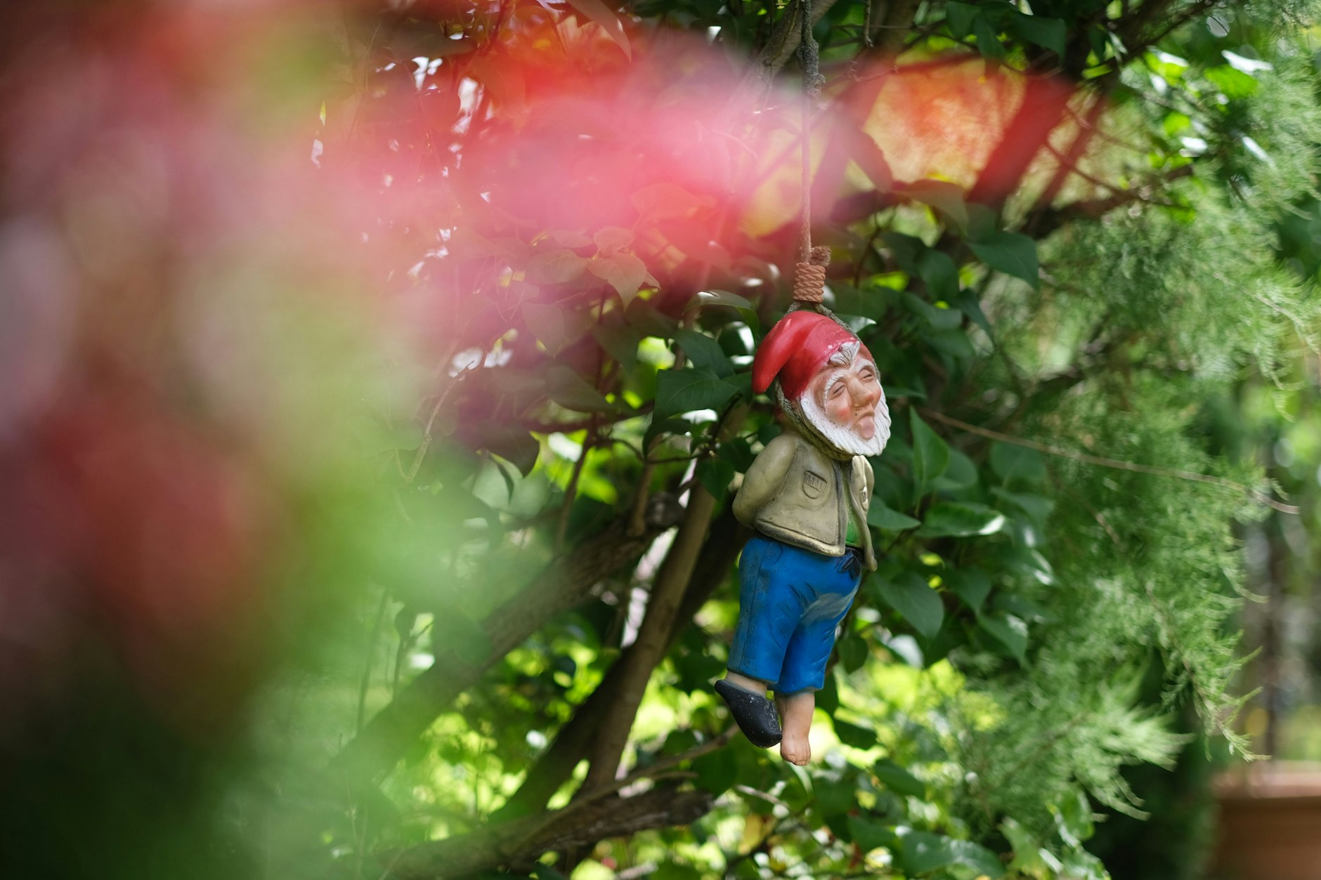 Ein hängender Gartenzwerg im Garten von Axel Quandt