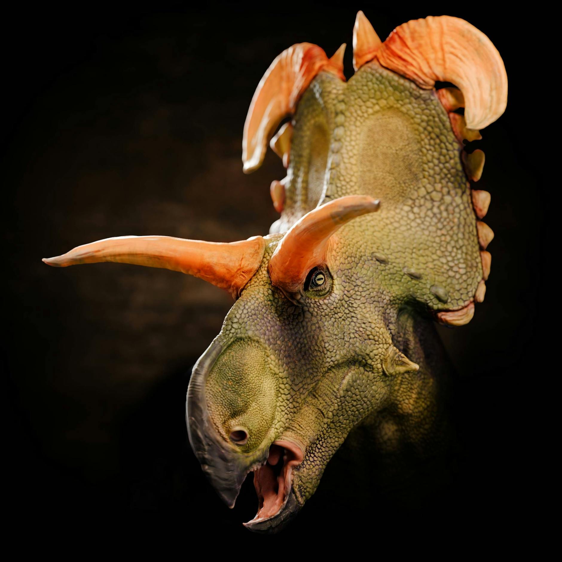 Der Kopf des Dinosauriers Lokiceratops rangiformis war mit vier beeindruckenden Hörnern geschmückt - eine Besonderheit in der Welt der Dinos.