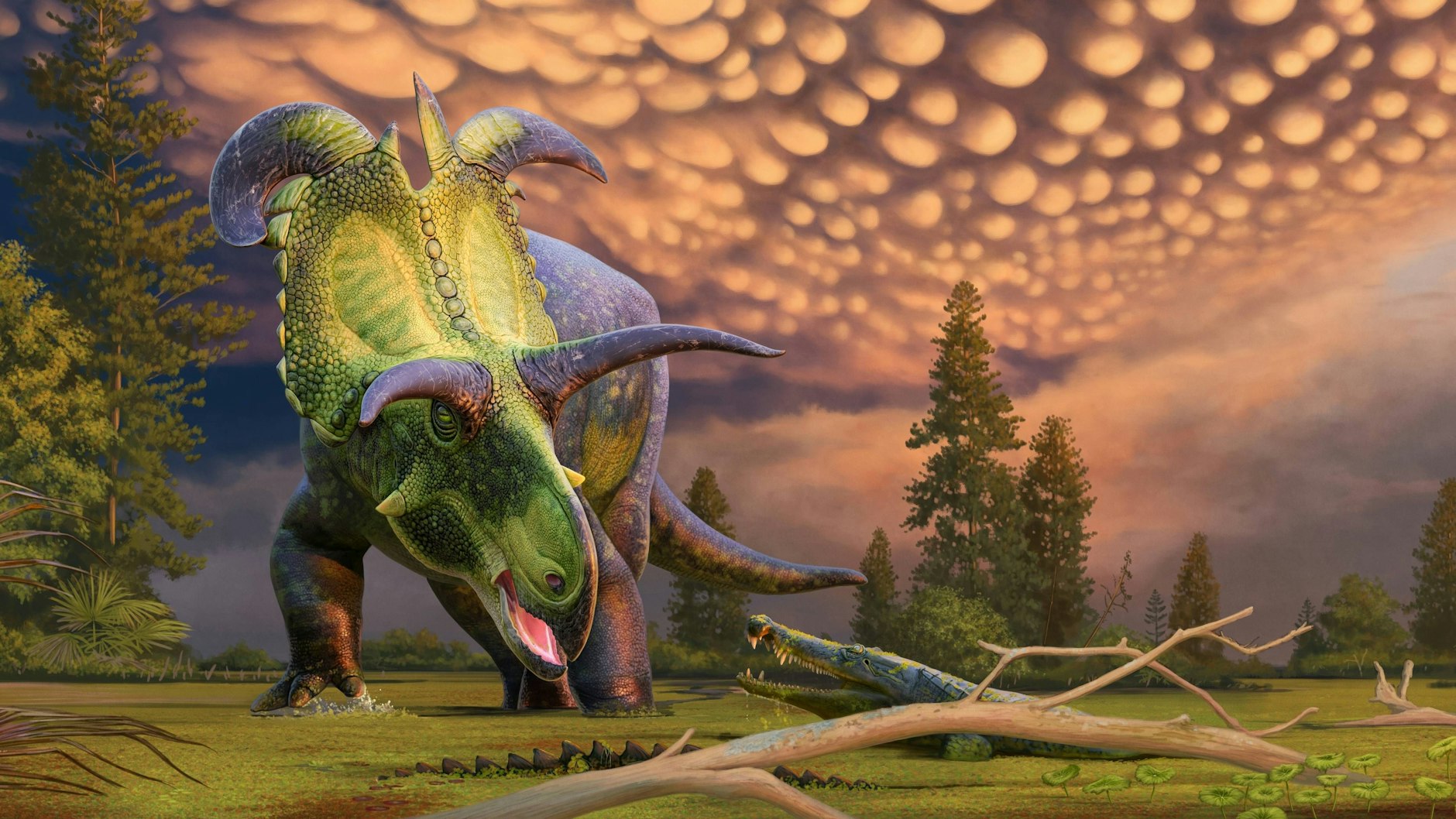 Der Lokiceratops rangiformis lebte auf einer Insel, die vor 99 Millionen Jahren entstand - und dort lag, wo sich heute der Westen der USA befindet.
