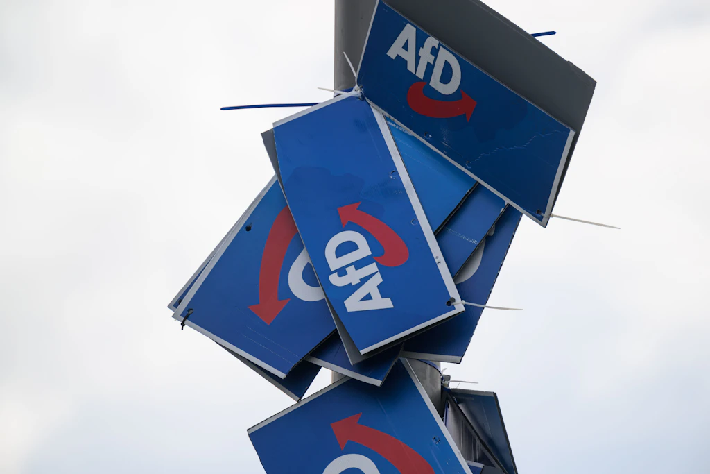 Yerel seçimlerin ardından Saksonya'da AfD: Tam destek, boş koltuklar