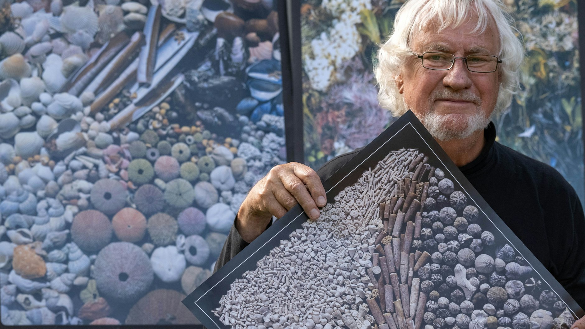 Rolf Reinicke zeigt ein Plakat mit Funden der Kreideküste.