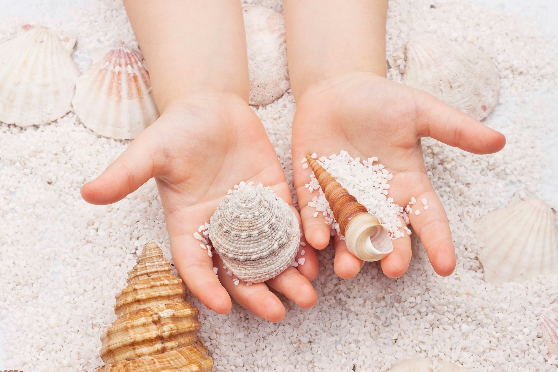 Gerade Kinder haben besonders Spaß daran, Schätze am Strand zu finden.
