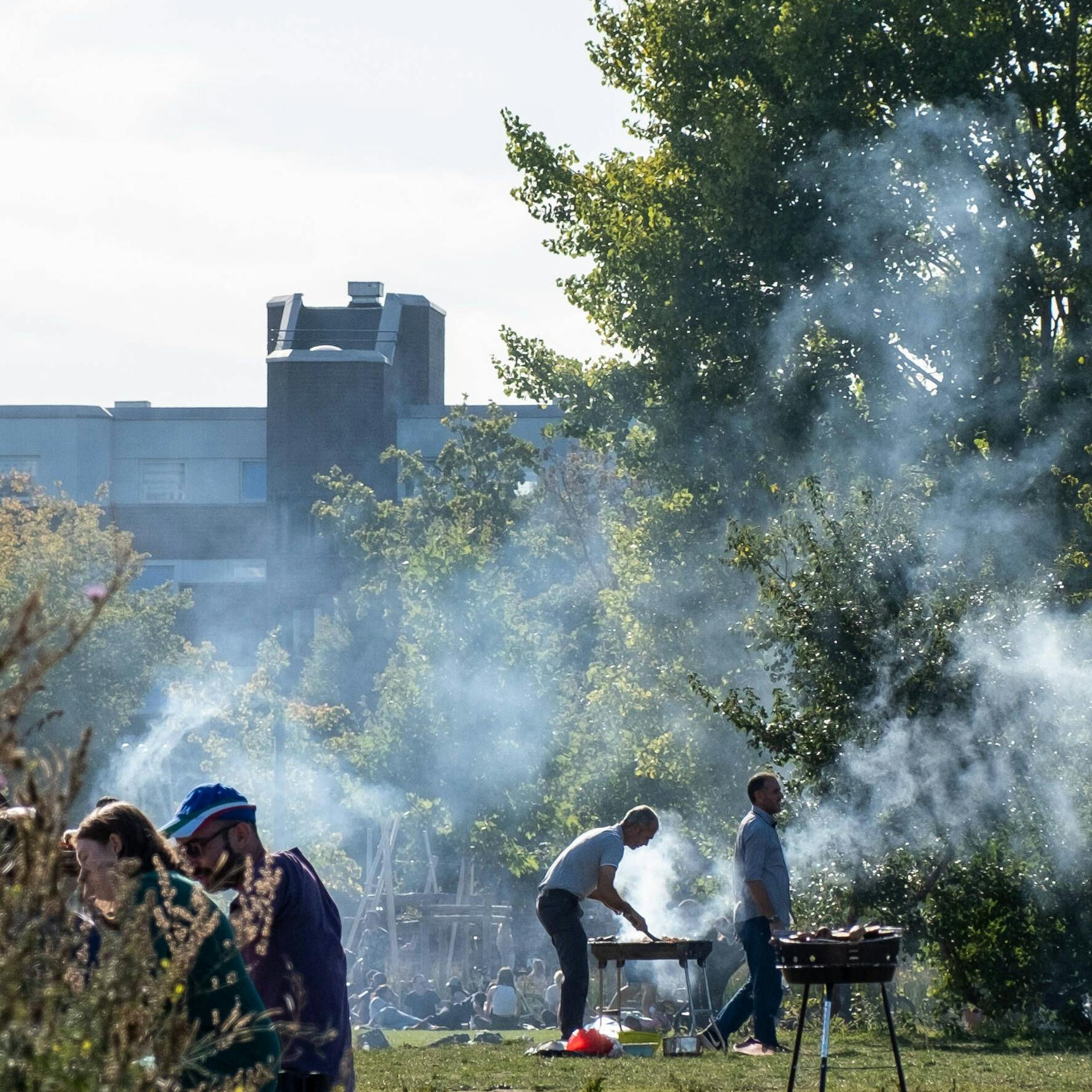 Image - Grillverbot – In ganz Berlin qualmt es: Warum werden Verstöße nicht gemeldet?