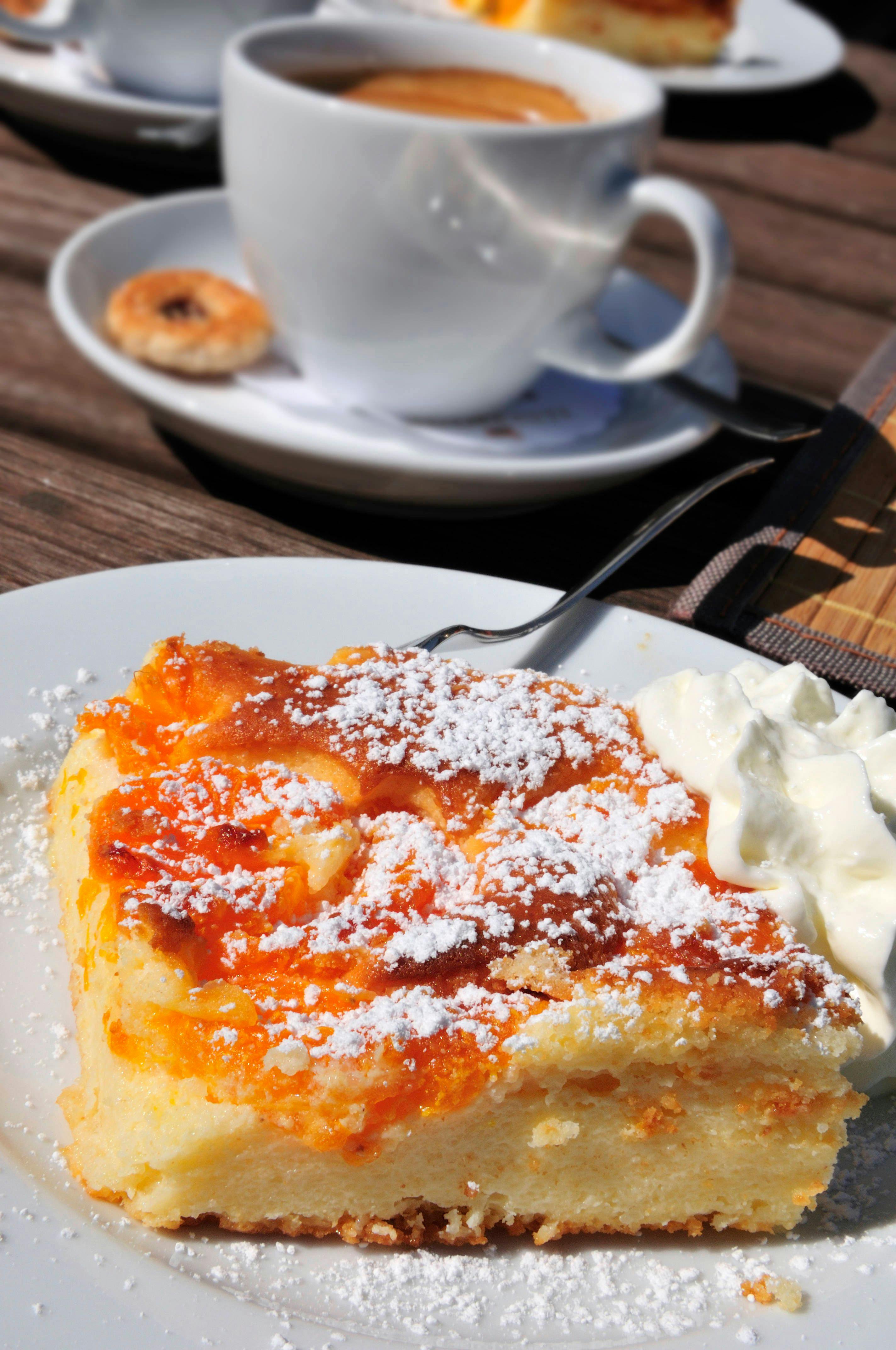 Omas Rezept für Quarkkuchen mit Mandarinen: Klassiker vom Blech! Omas Rezept für Quarkkuchen mit Mandarinen: Klassiker vom Blech!