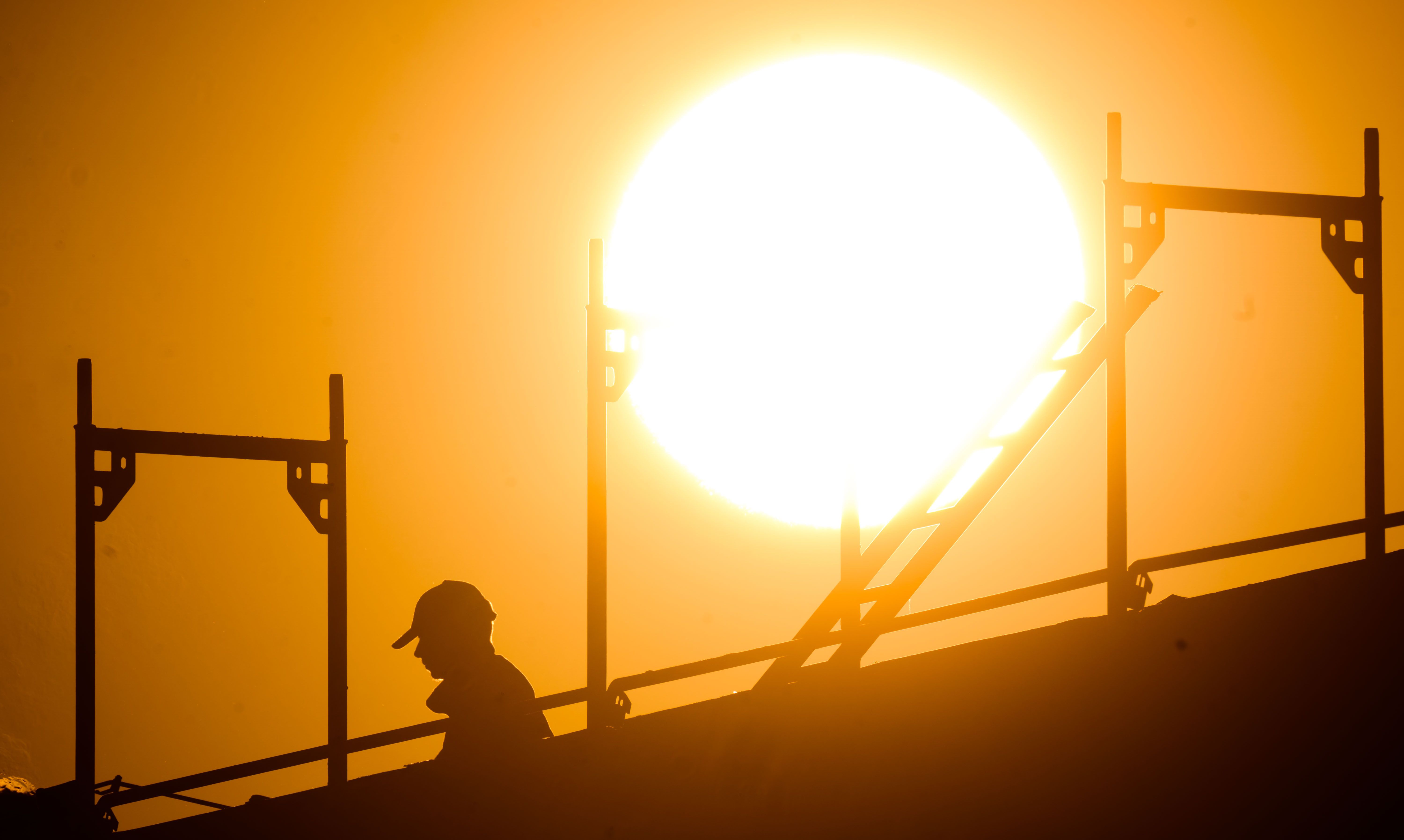 Deutsche Wirtschaft zu AfD-nah? Verbände kontern DIW-Präsident Fratzscher