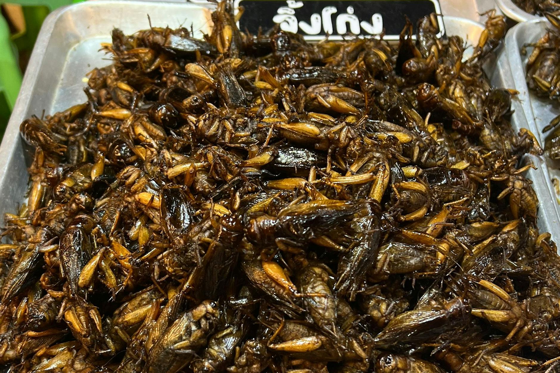 Insekten als Nahrungsmittel in Thailand – würden Sie diese Delikatessen probieren?