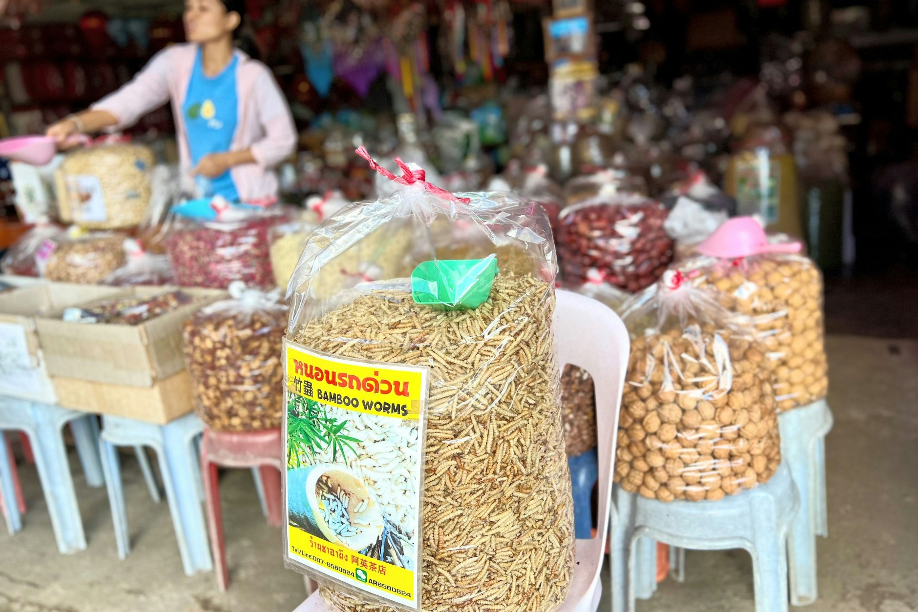 Bambuswürmer zum Essen werden auf einem Markt in Chiang Rai angeboten. Singapur hat offiziell 16 Insektenarten als Lebensmittel zugelassen, darunter Heuschrecken, Grillen und Seidenraupen. 