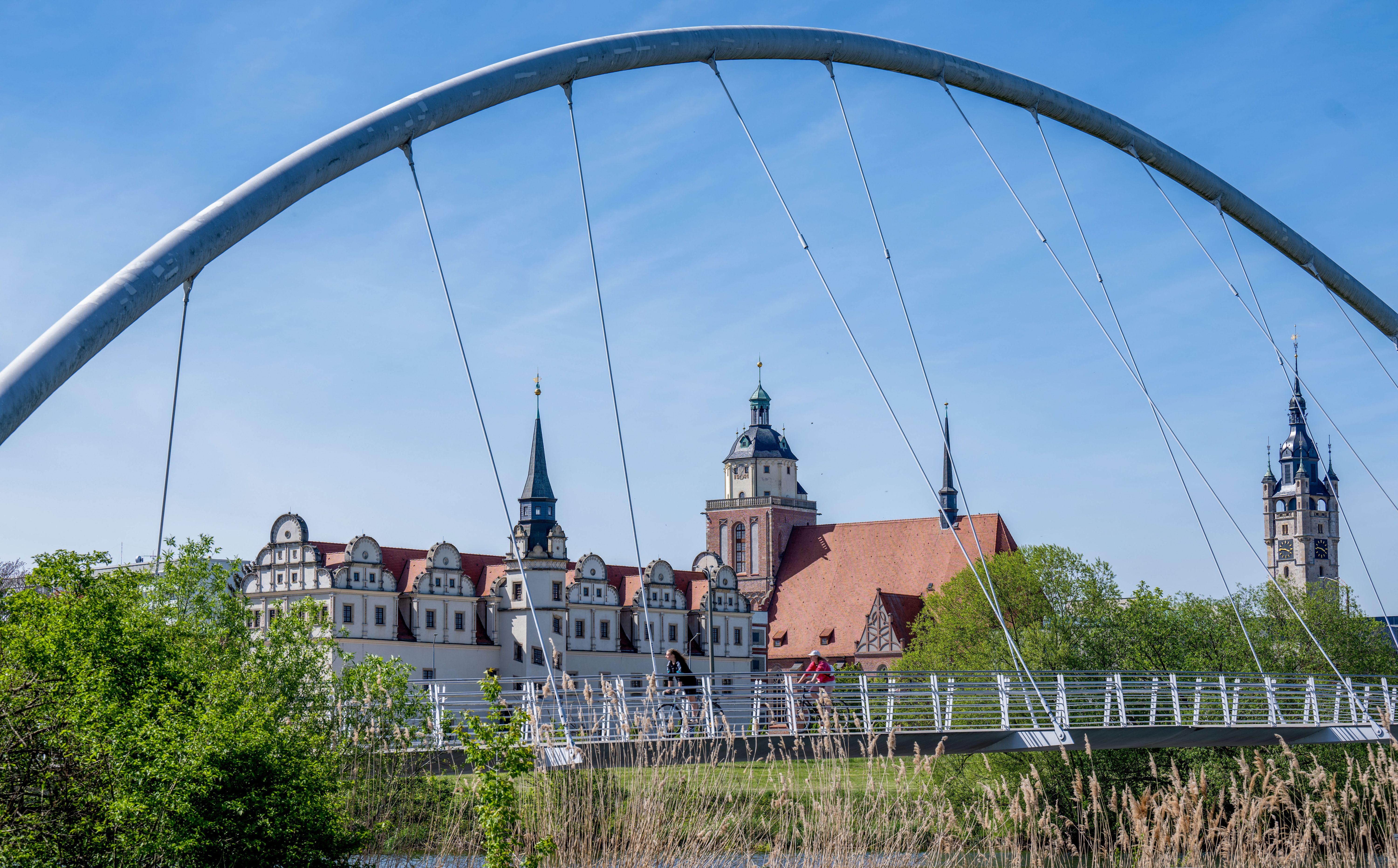 Image - Roßlau: AfD-Mann zum Bürgermeister gewählt – früher bei verbotener Organisation