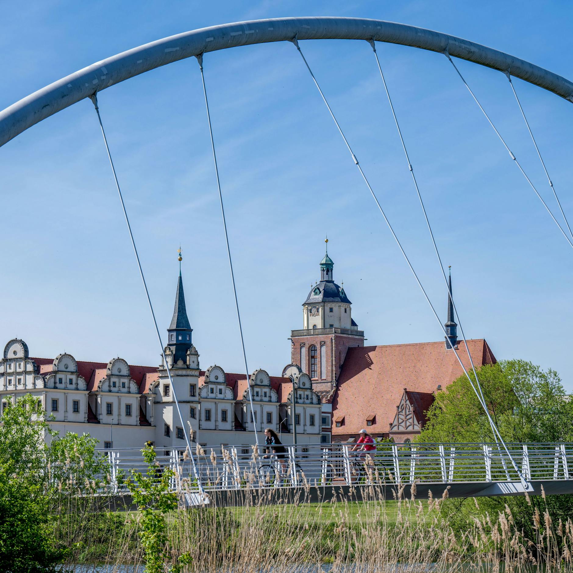 Image - Roßlau: AfD-Mann zum Bürgermeister gewählt – früher bei verbotener Organisation
