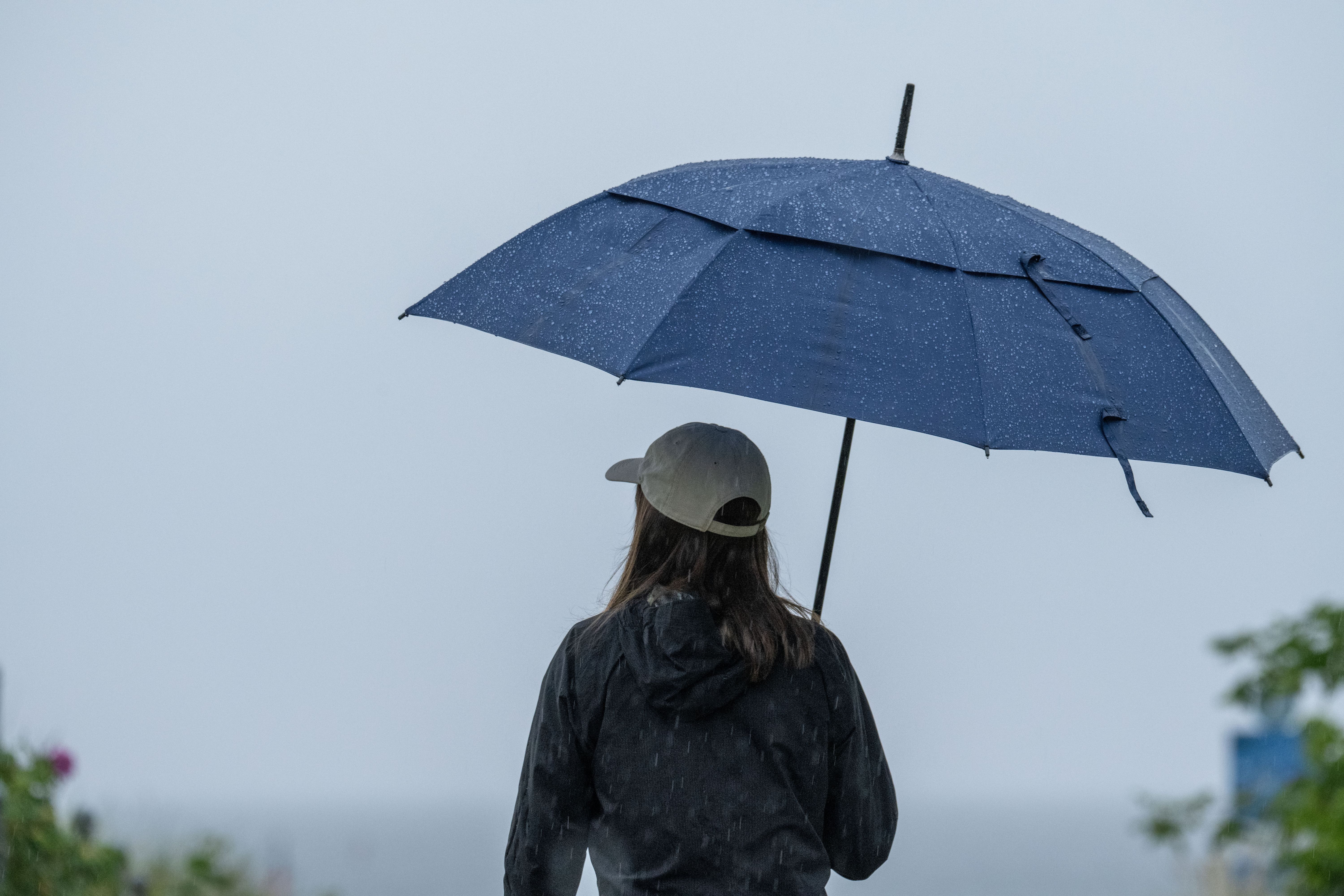 Im Dutzend billiger – wieso ich ständig meinen Regenschirm verliere
