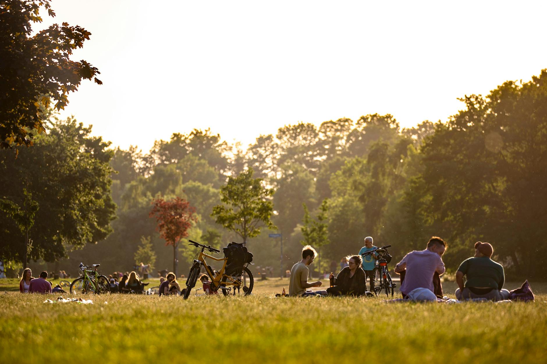 Pollen fliegen überall, aber in Parks ist die Belastung höher.