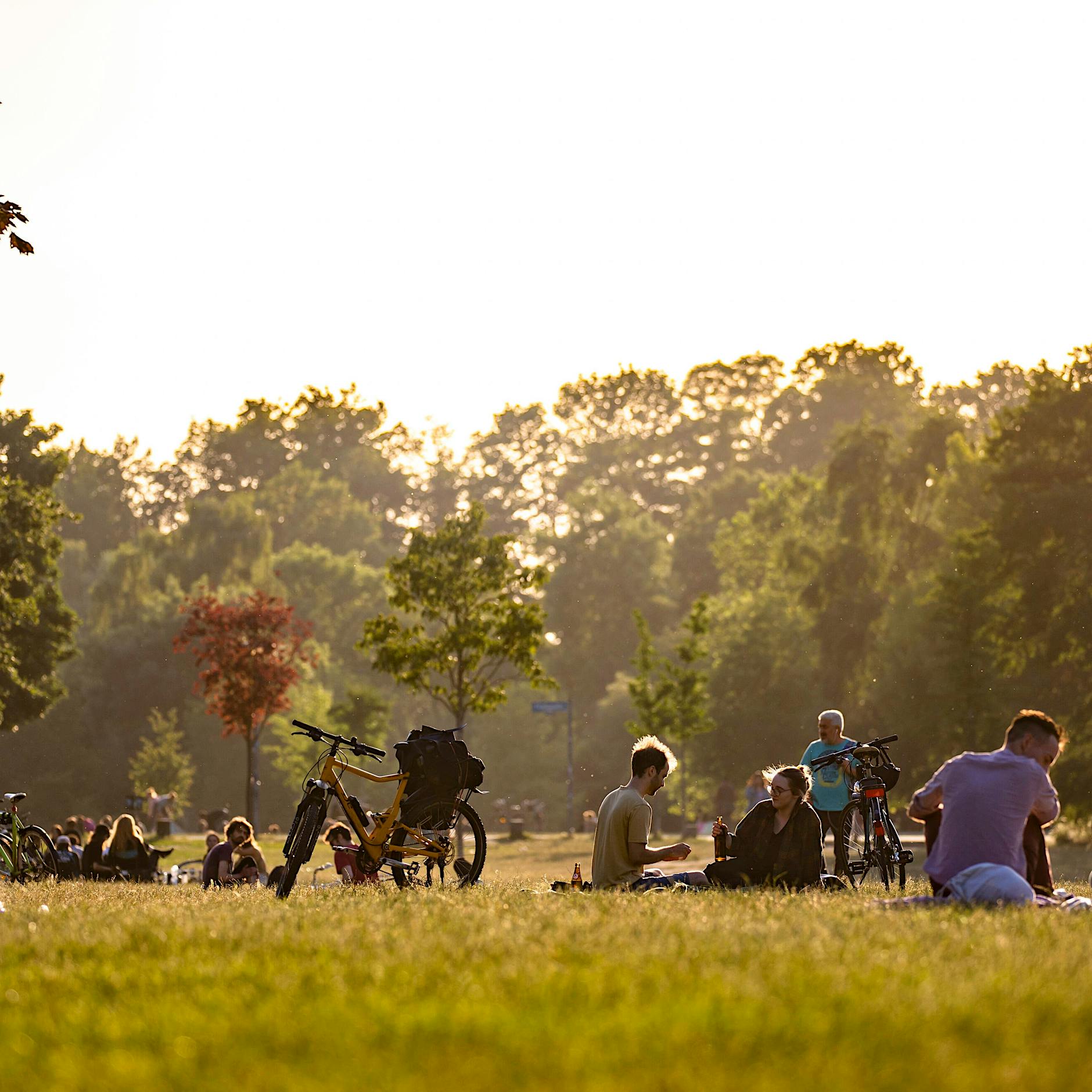 Allergien: Ist die Pollensaison 2024 in Berlin so intensiv, wie sie sich anfühlt?