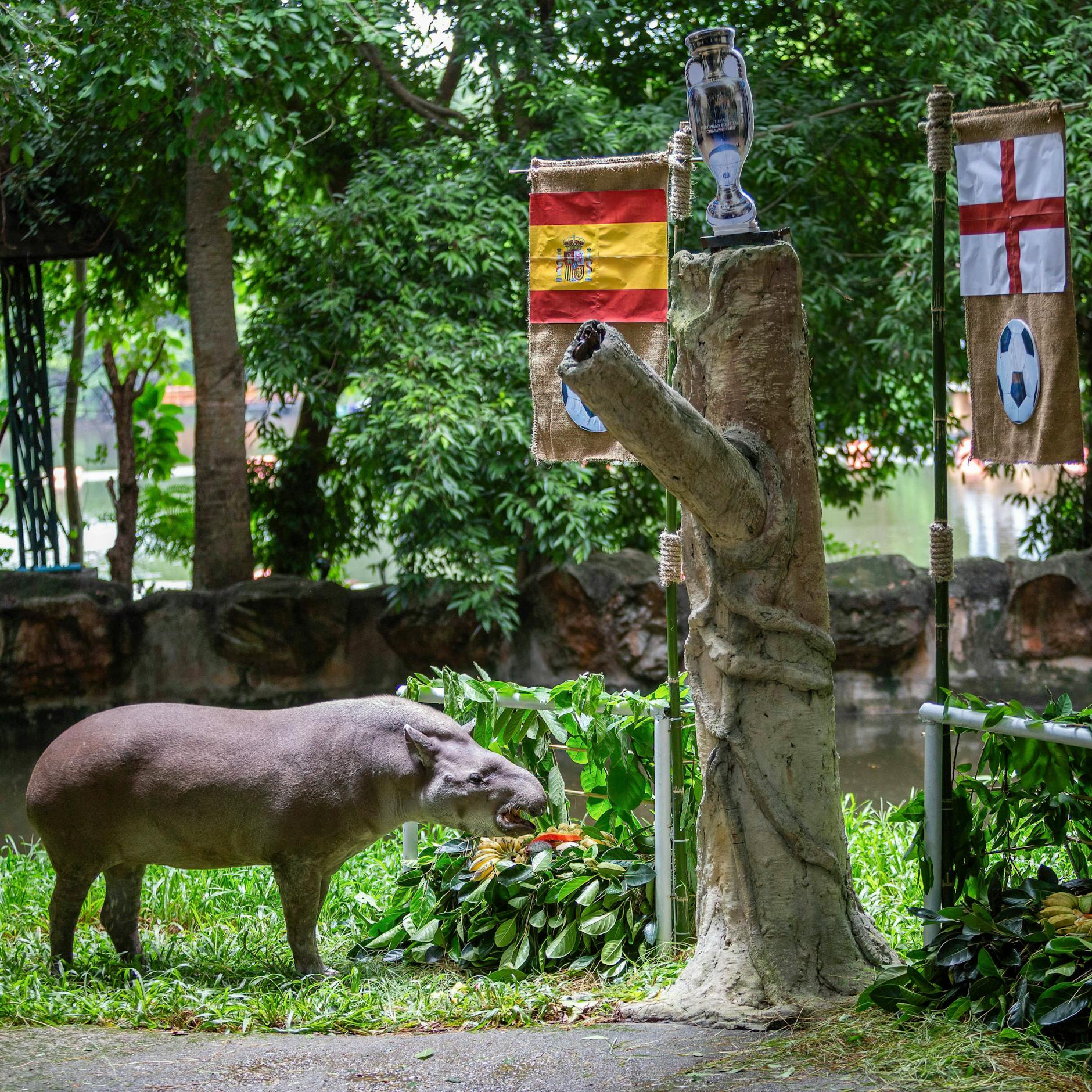 Image - Spanien gegen England: Das EM-Finale der Gegensätze