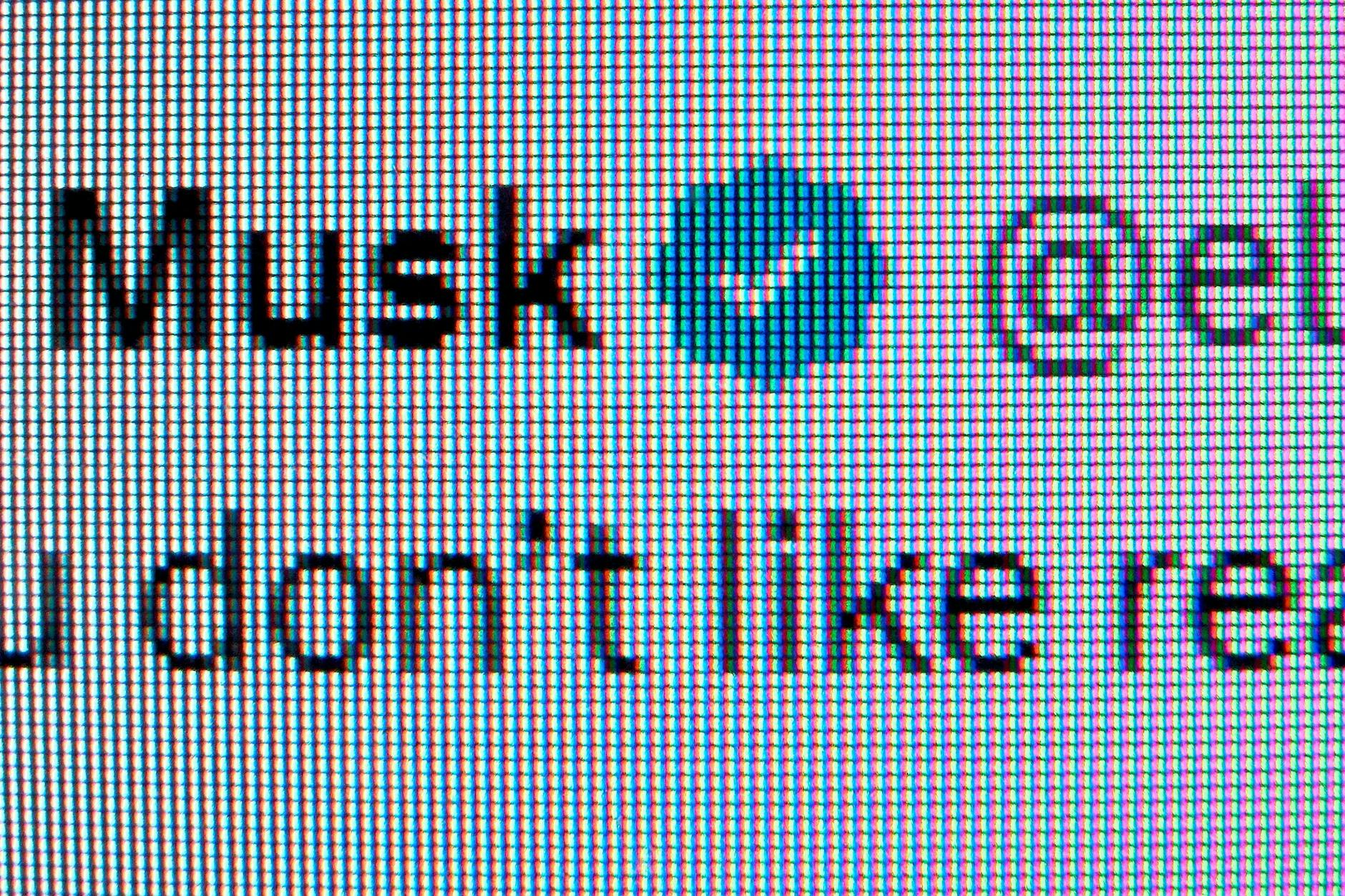 Ein blauer Haken verifiziert den Account von Elon Musk als echt. X hatte 2023 mit einer Neuerung bei seinen Verifikations-Symbolen den Nutzen entwertet.