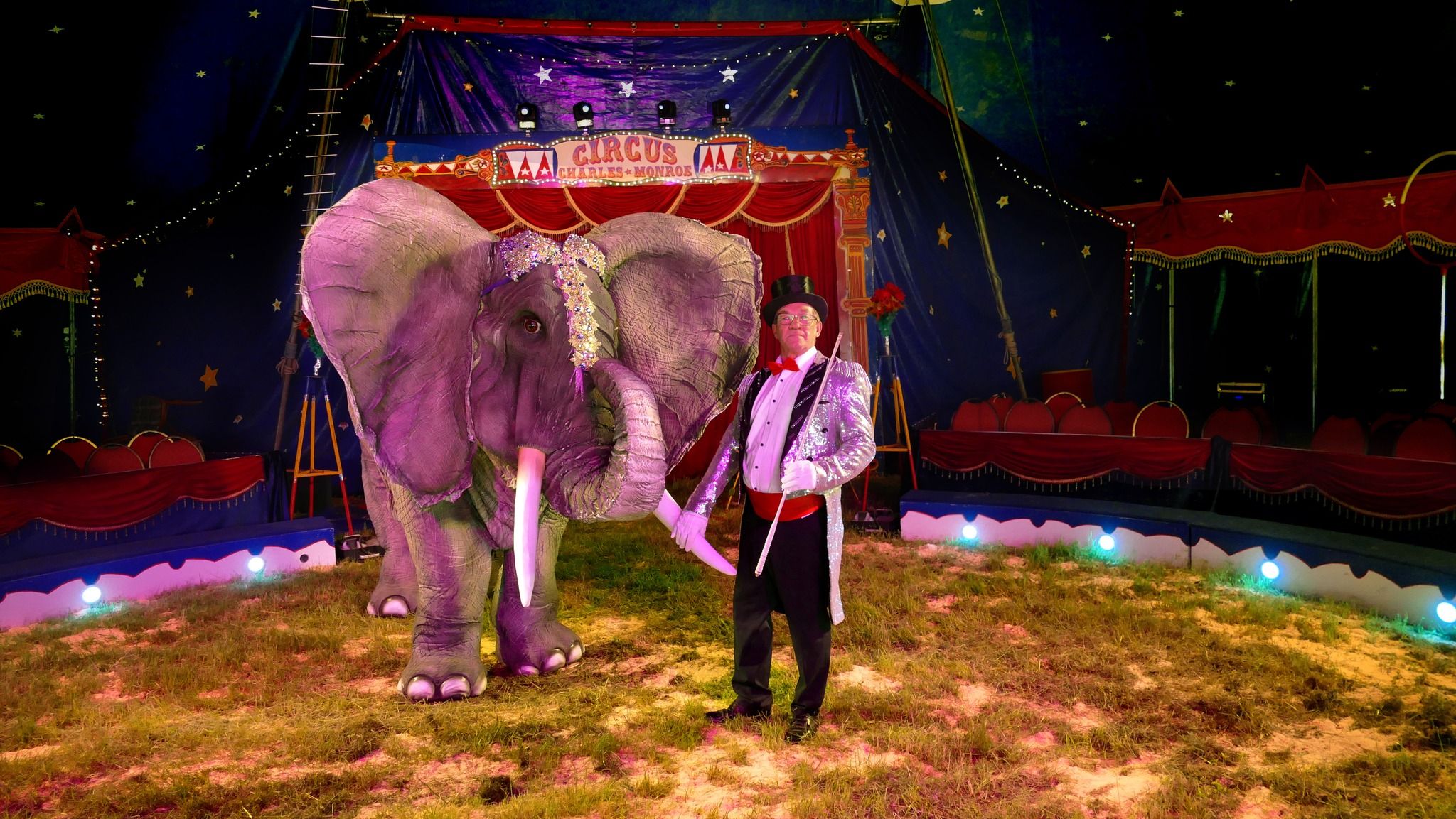 Image - Tier-Rätsel: Dieser Elefant birgt ein Geheimnis – erkennen Sie es?