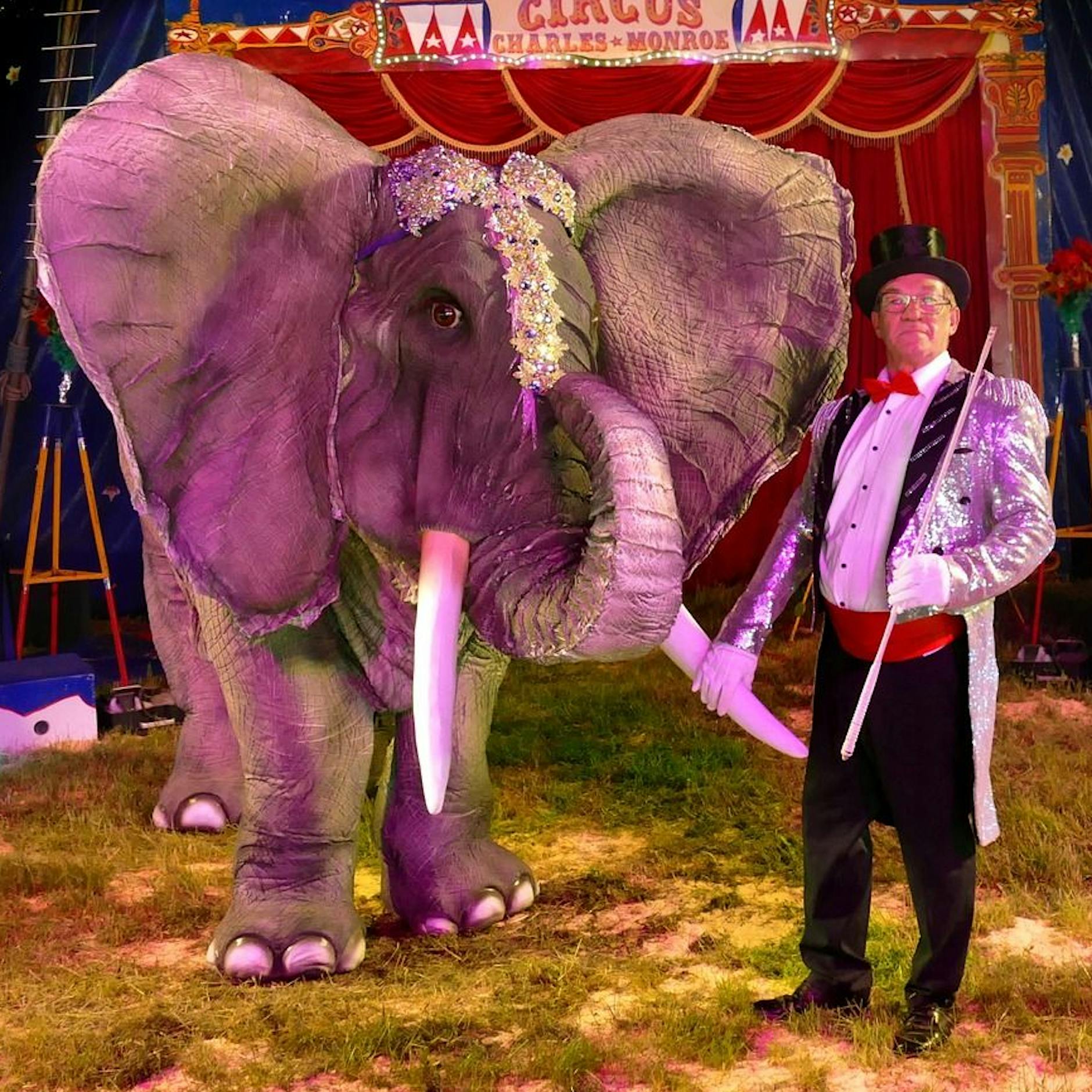 Tier-Rätsel: Dieser Elefant birgt ein Geheimnis – erkennen Sie es?