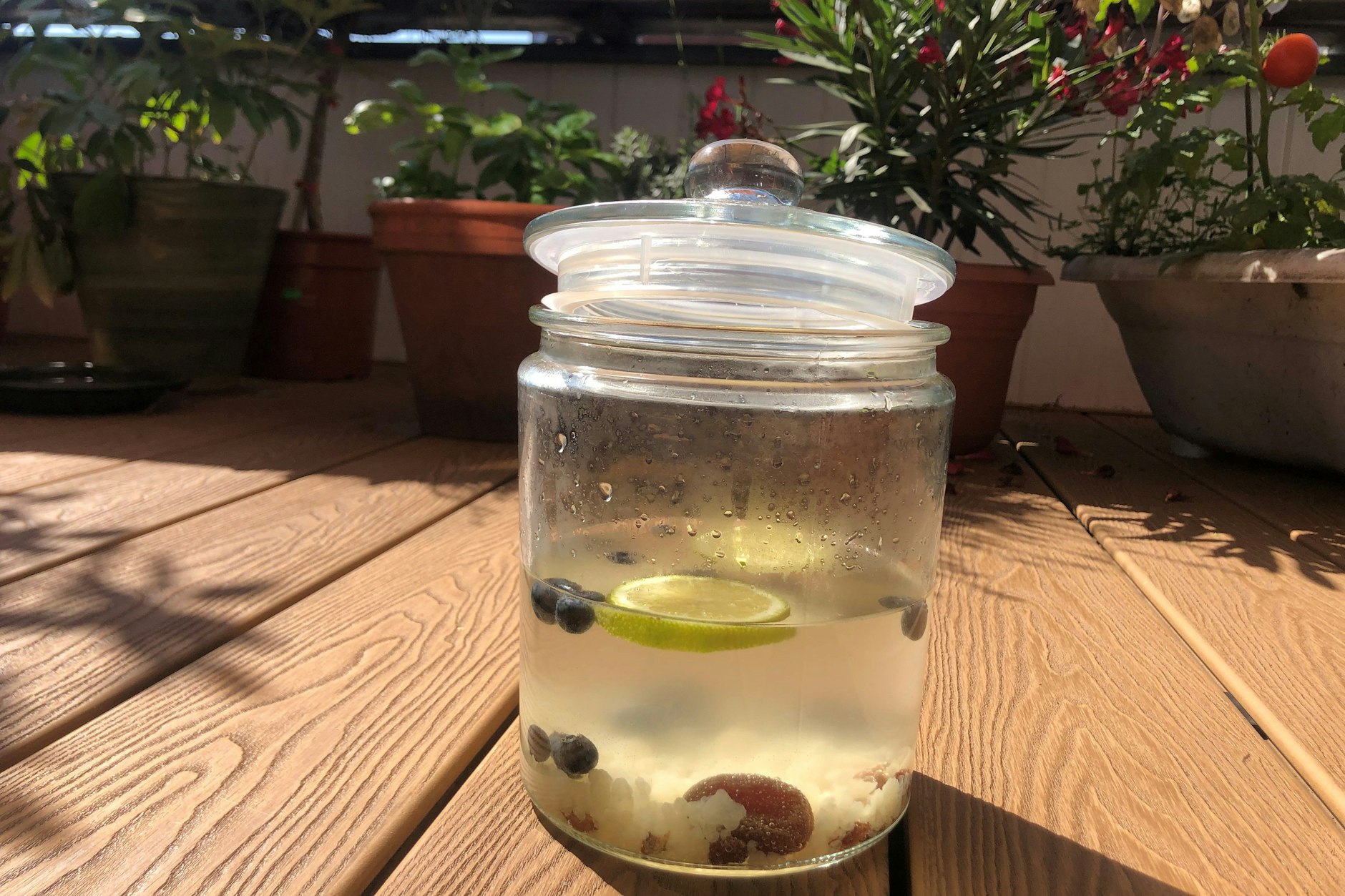 Die Kefirknollen werden ein bis drei Tage im Zuckerwasser gelassen, dann erhält man ein köstliches, säuerliches Getränk. 