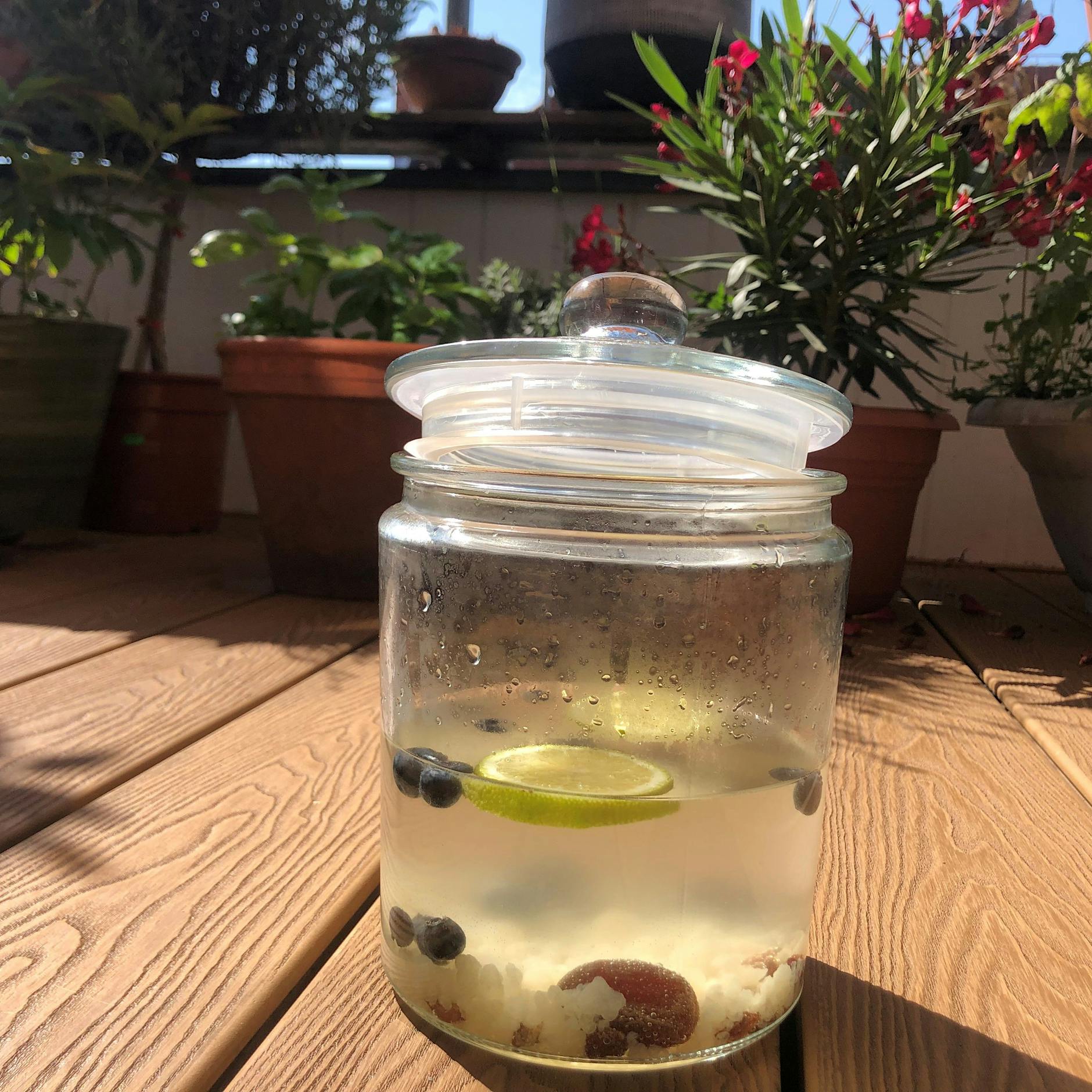 Hilfe, wir haben einen neuen Mitbewohner – eine Wasserkefirkultur