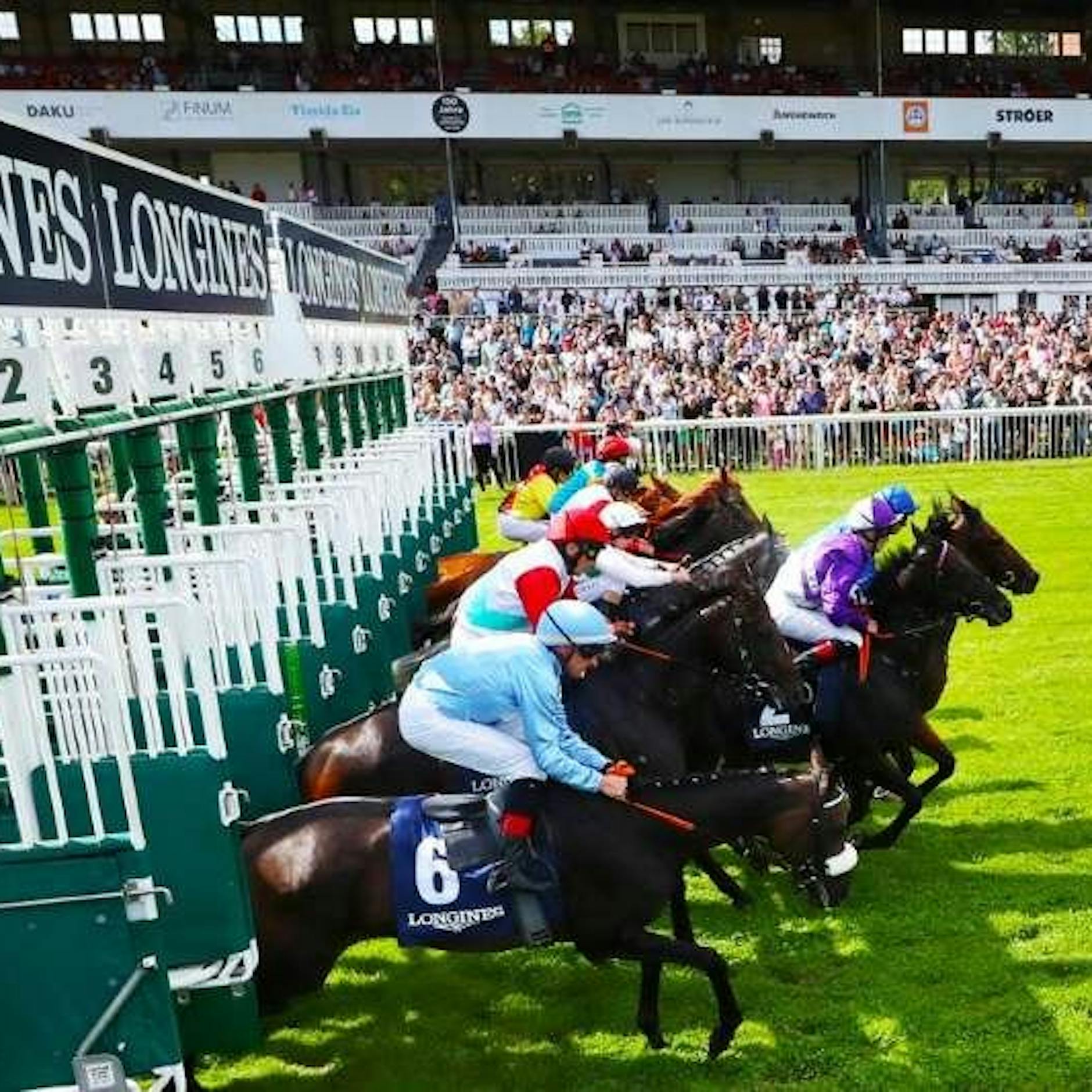 Rennbahn Hoppegarten Pferderennen 2025 | Tickets