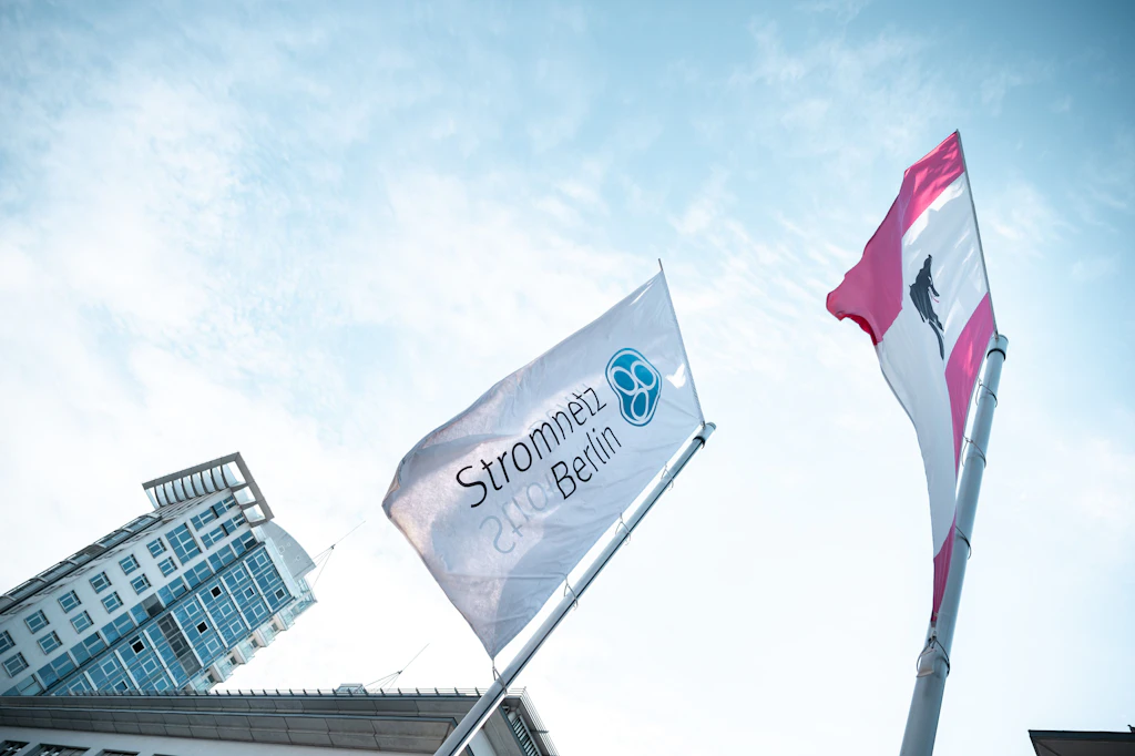 Elektroautos oder Wärmepumpen? Berliner Netzbetreiber verrät, was die Netze wirklich belastet