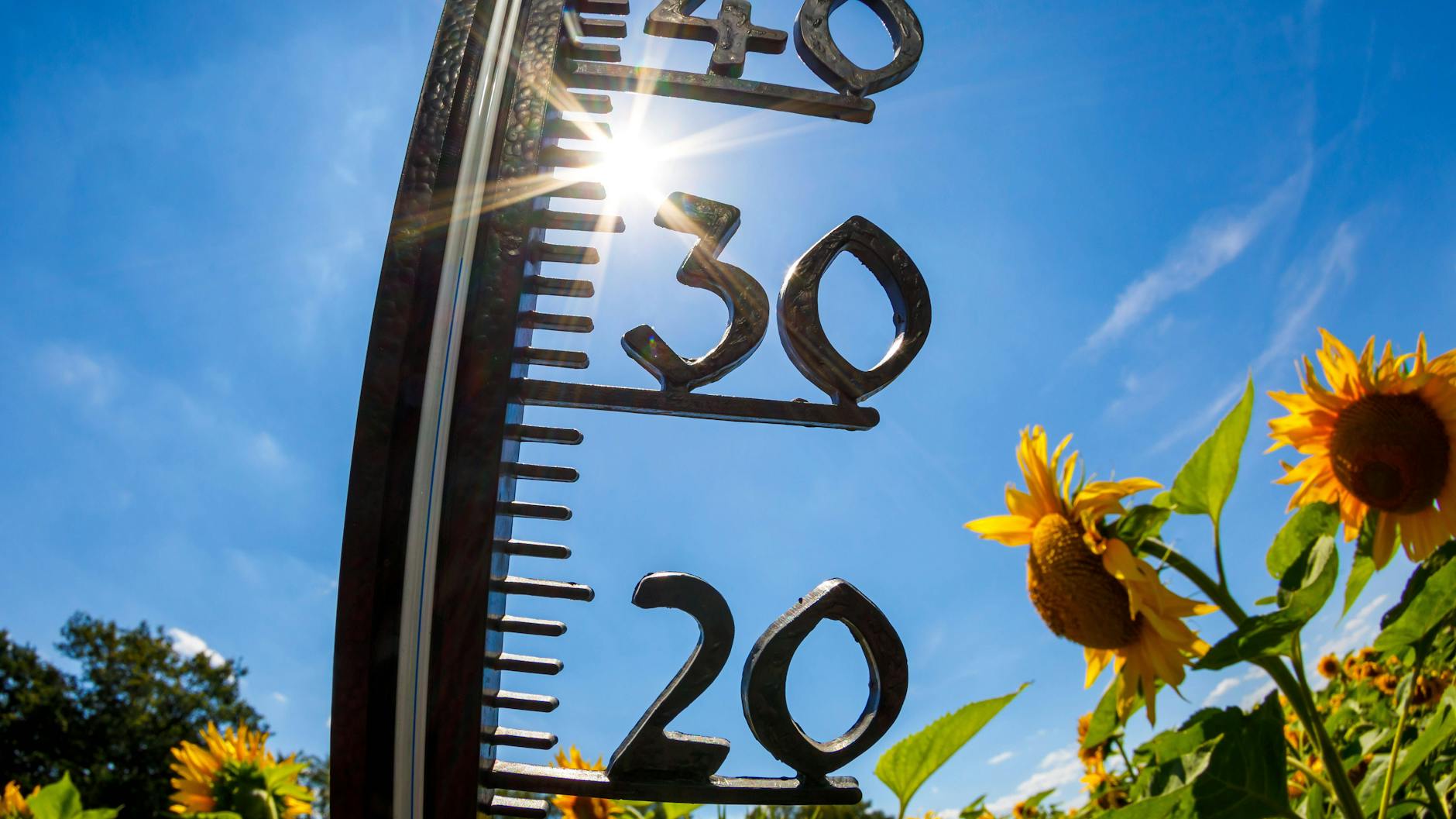 Es wird richtig heiß: Am Wochenende erreichen die Temperaturen in Deutschland wieder die 30-Grad-Marke.