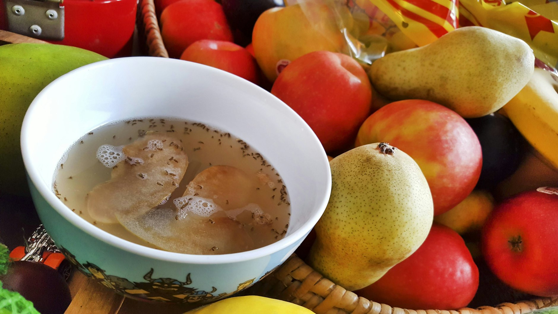 Aus simplen Zutaten können Sie sich leicht eine Fliegenfalle bauen, mit der Sie Fruchtfliegen - auch Obstfliegen und Essigfliegen genannt - einfach einfangen.