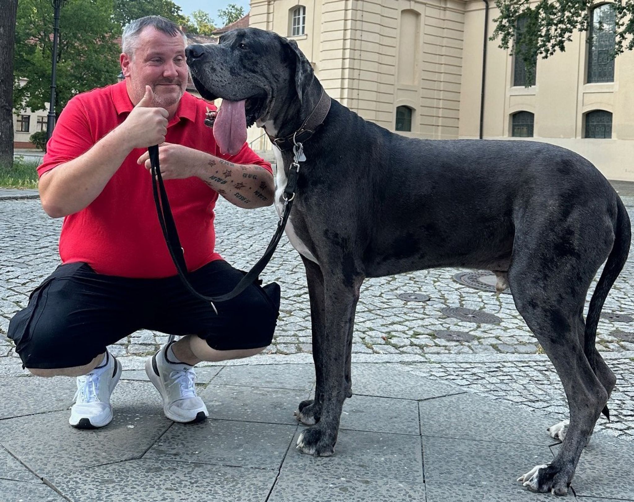 Image - Der sanfte Riese: Ramses aus Zossen ist reif fürs Guinness-Buch der Rekorde