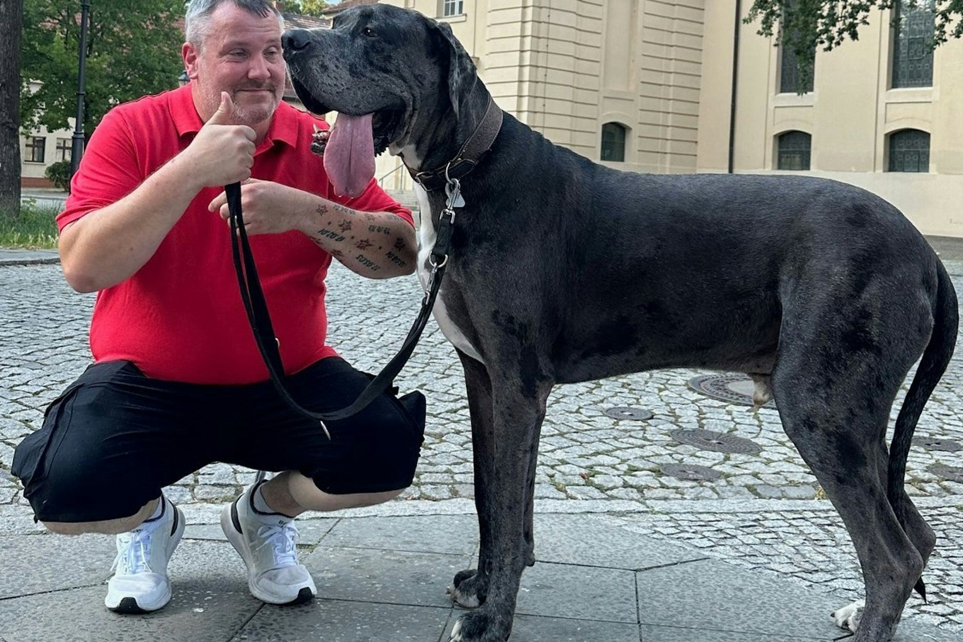 Patrick Hein hockt neben seiner Deutschen Dogge Ramses. Mit rund 90 Kilogramm und einer Schulterhöhe von fast einem Meter ist Ramses eine echte Erscheinung.