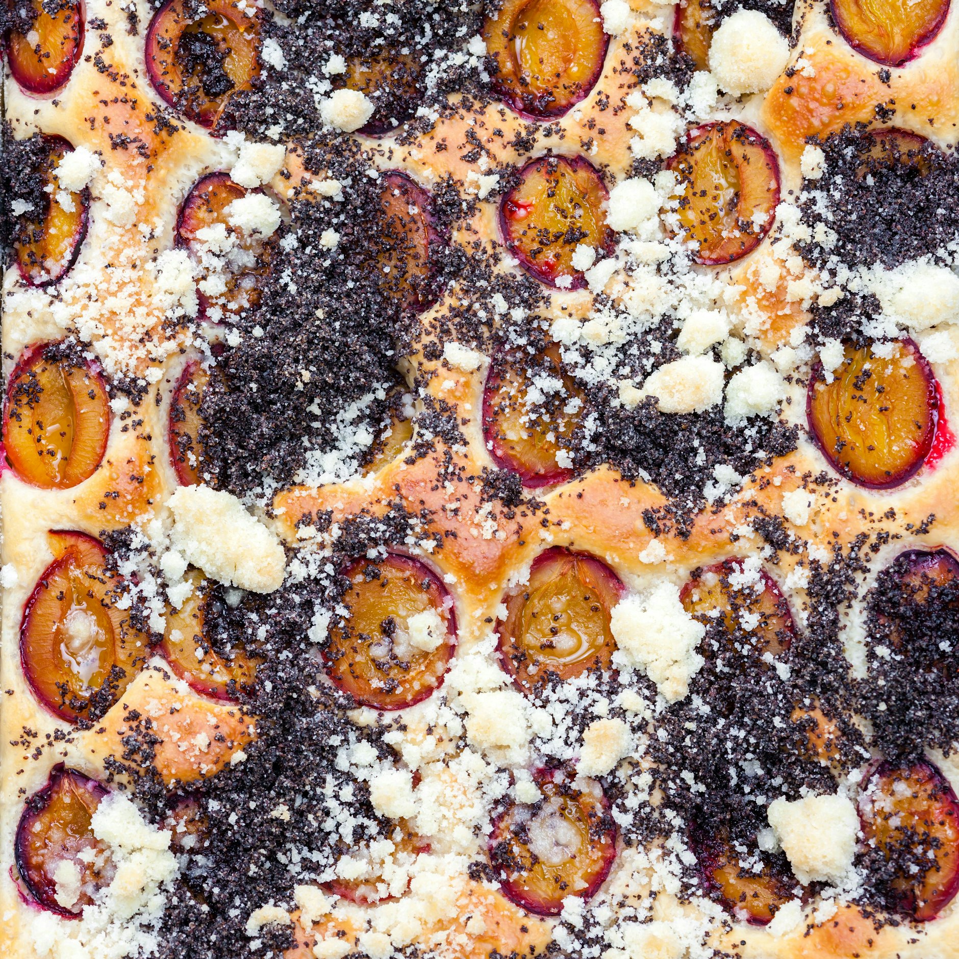Frische Pflaumen, Pudding, Mohn und Streusel machen dieses Rezept für Pflaumenkuchen zu einem ganz besonderen Kunstwerk.