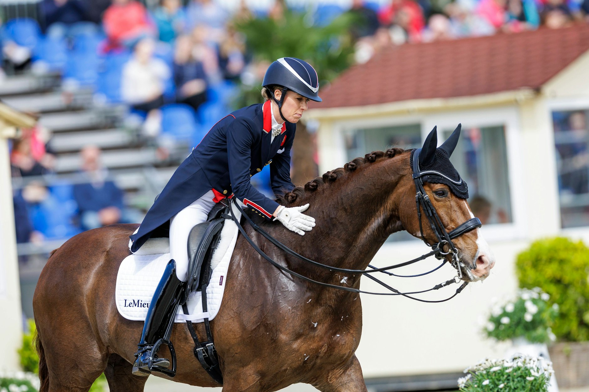 Mit Video Charlotte Dujardin wegen Tierquälerei bei Olympia gesperrt