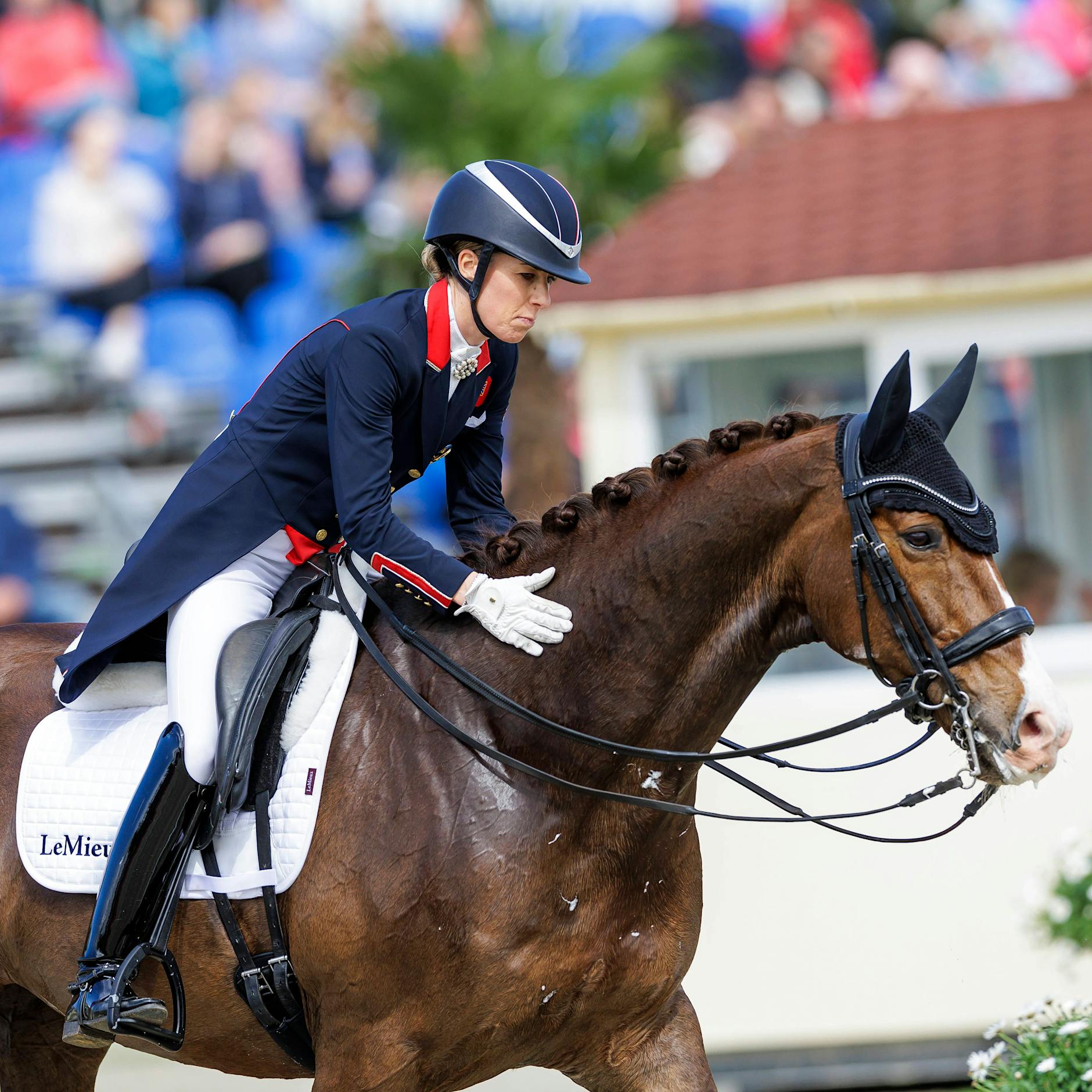 Mit Video: Charlotte Dujardin wegen Tierquälerei bei Olympia gesperrt