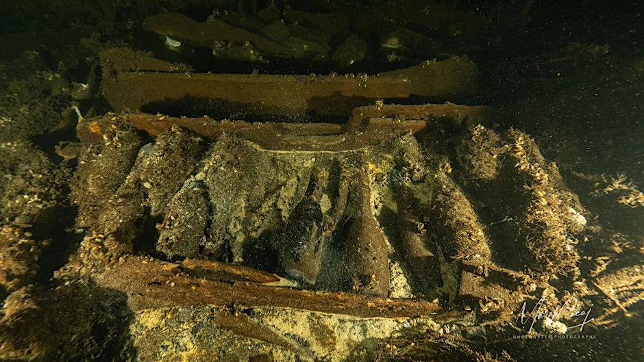 Auf dem Wrack des Schiffes auf dem Grund der Ostsee entdeckten die Taucher unzählige Flaschen Champagner.