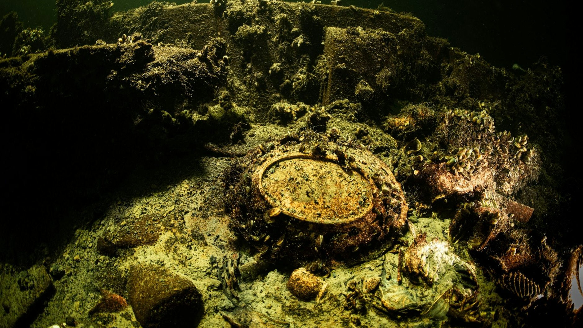 Das geheimnisvolle Wrack auf dem Grund der Ostsee birgt einen echten Schatz - und sicherlich noch viele Geheimnisse.