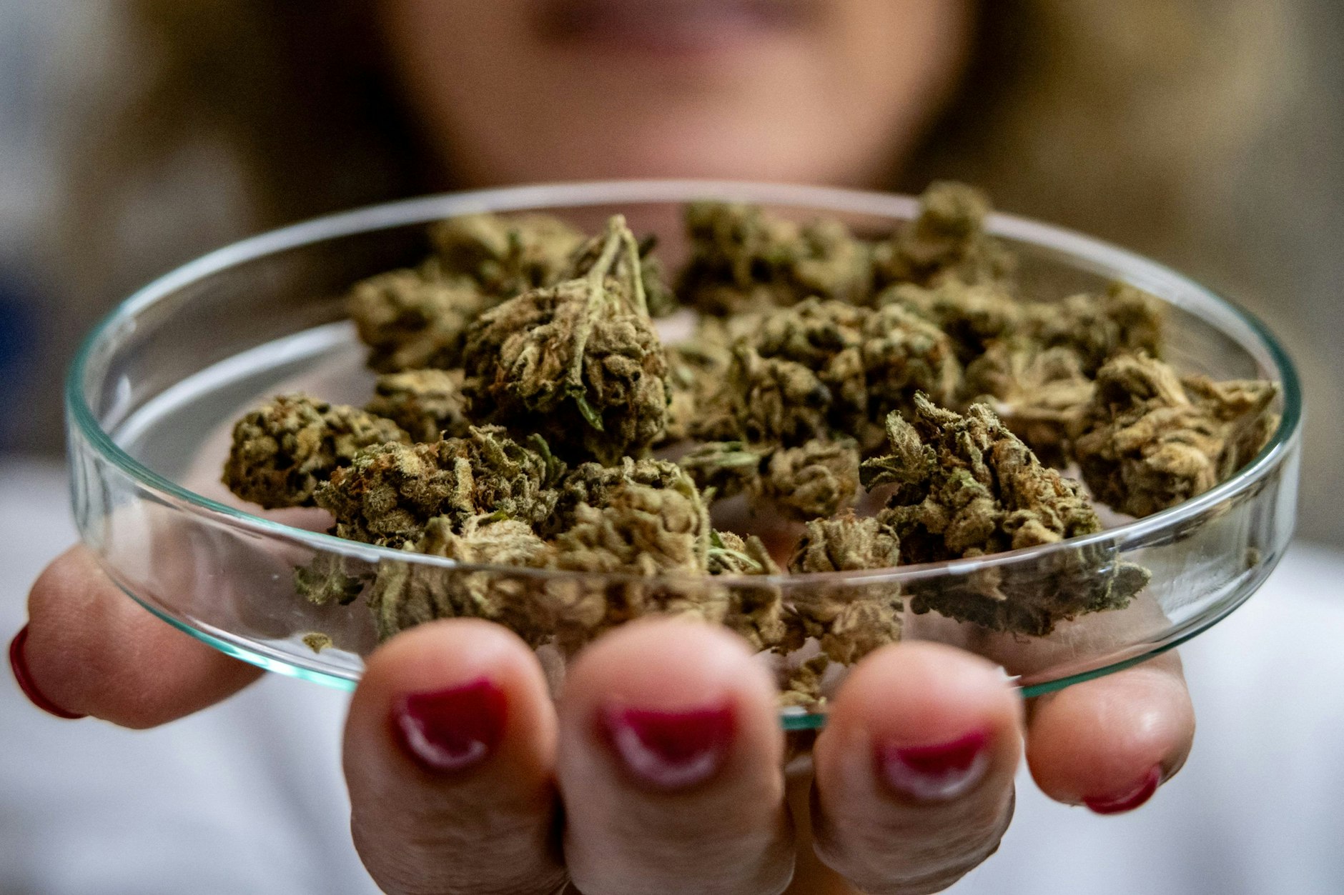 Für Cannabis-Clubs will in Berlin niemand zuständig sein.