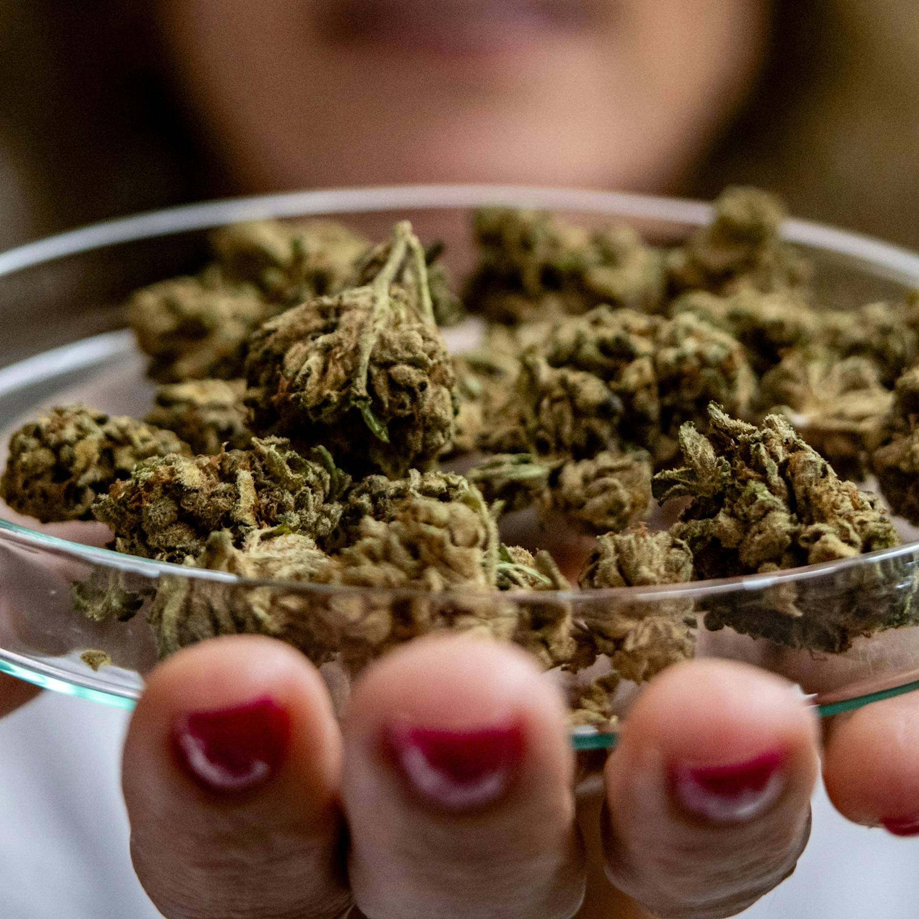 Cannabis-Chaos in Berlin: Wer ist für Cannabis-Clubs zuständig?