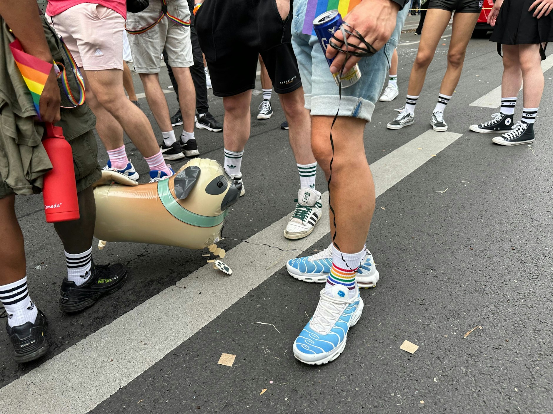 Ein Mops und ganz viele Turnschuhe