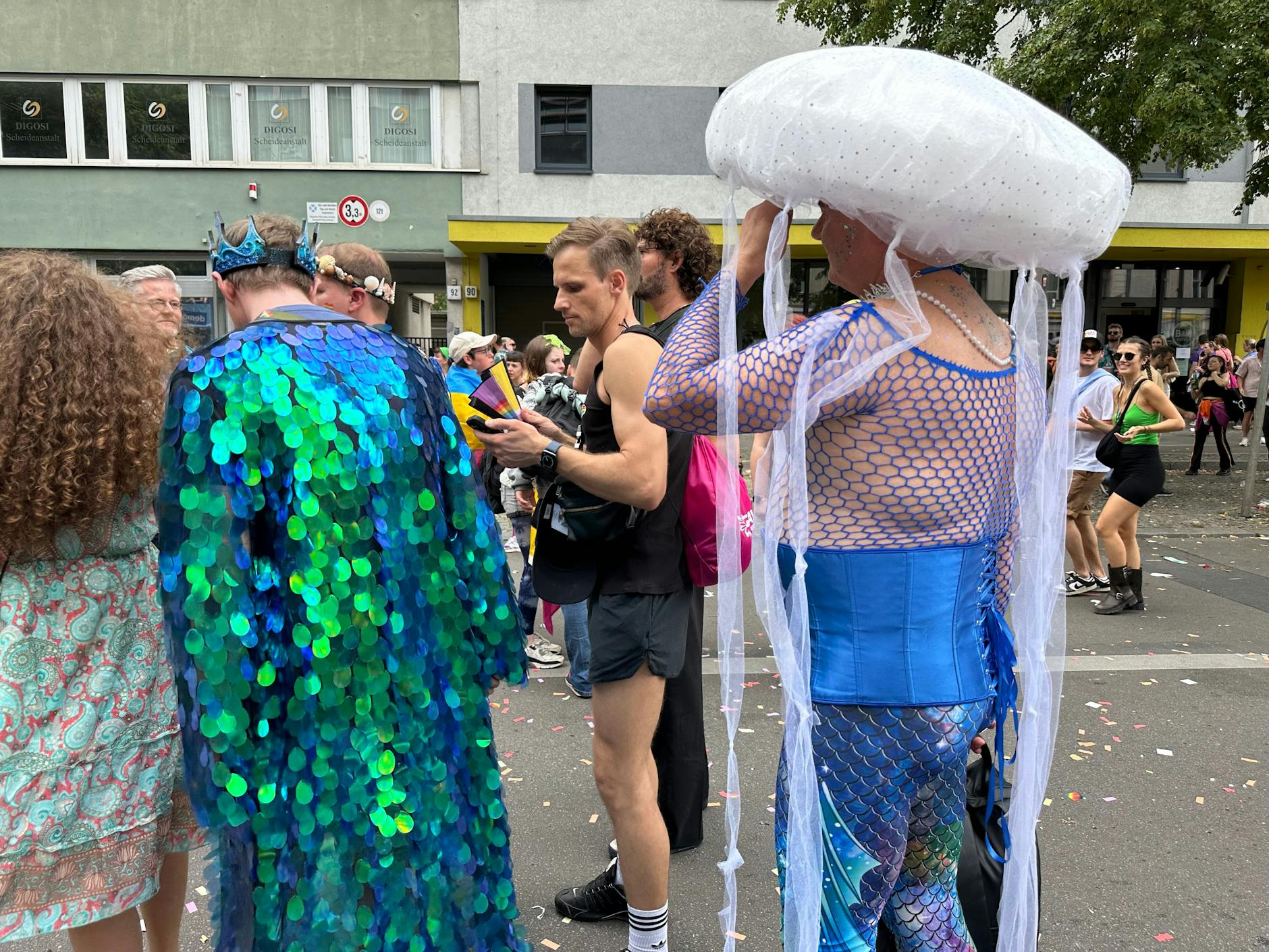 Und hier: eine Qualle