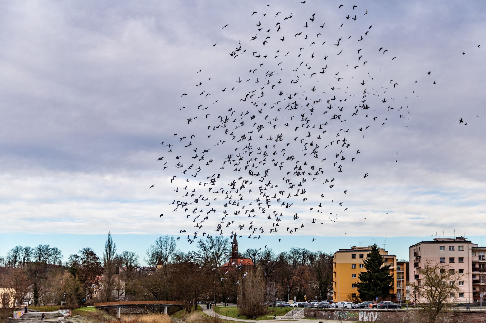 Guben verzweifelt: Brandenburger Ort bietet „Probewohnen“ an