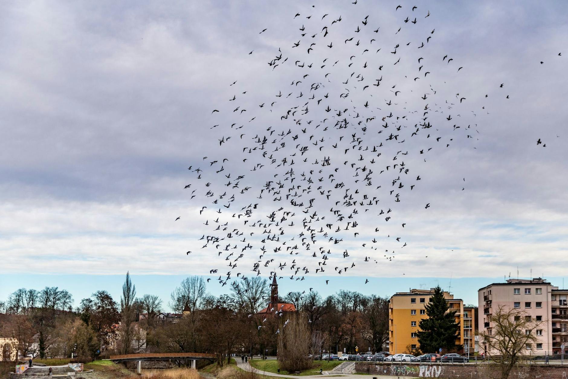 Die Neiße trennt die deutsche Stadt Guben von der polnischen Schwesterstadt Gubin.