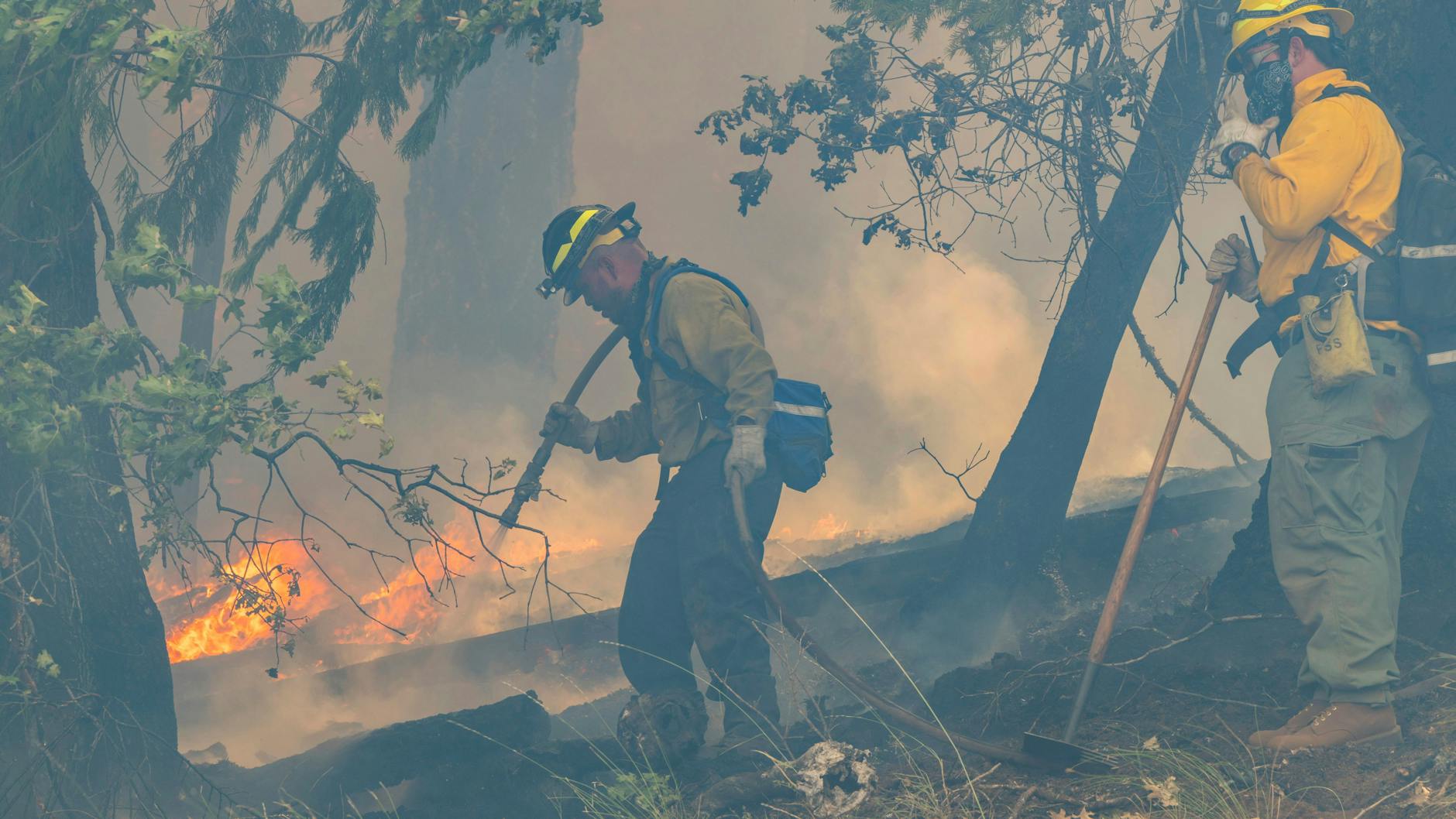 Feuerwehrleute bekämpfen das Park Fire entlang des Highway 32 bei Forest Ranch. 