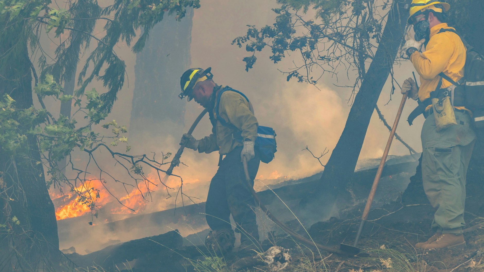 Feuerwehrleute bekämpfen das Park Fire entlang des Highway 32 bei Forest Ranch.&nbsp;