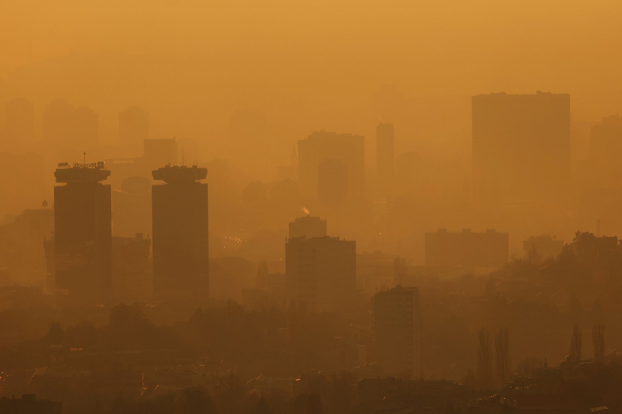 Umweltzonen gegen Luftverschmutzung: Berliner Forscherin erhält Deutschen Studienpreis