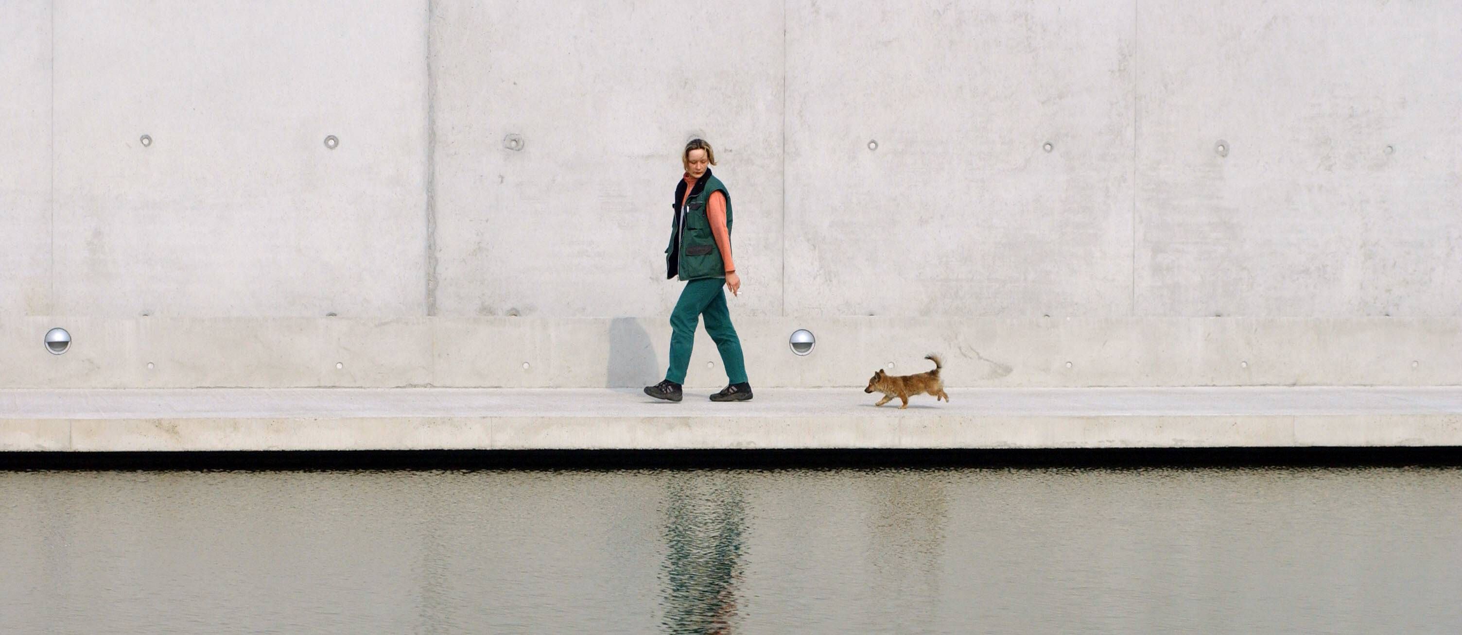 Image - Tierheim Falkenberg in Berlin-Lichtenberg überfüllt: „Situation ist dramatisch“